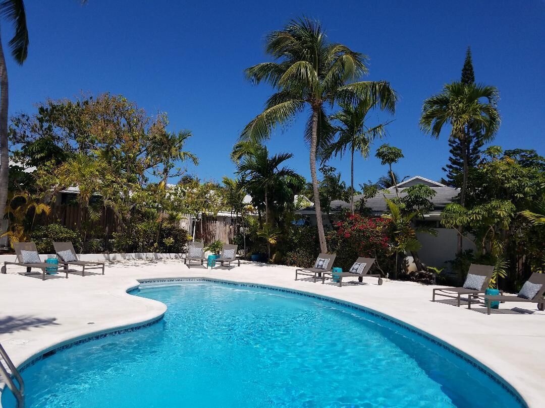 The pool with sun loungers and palm trees.