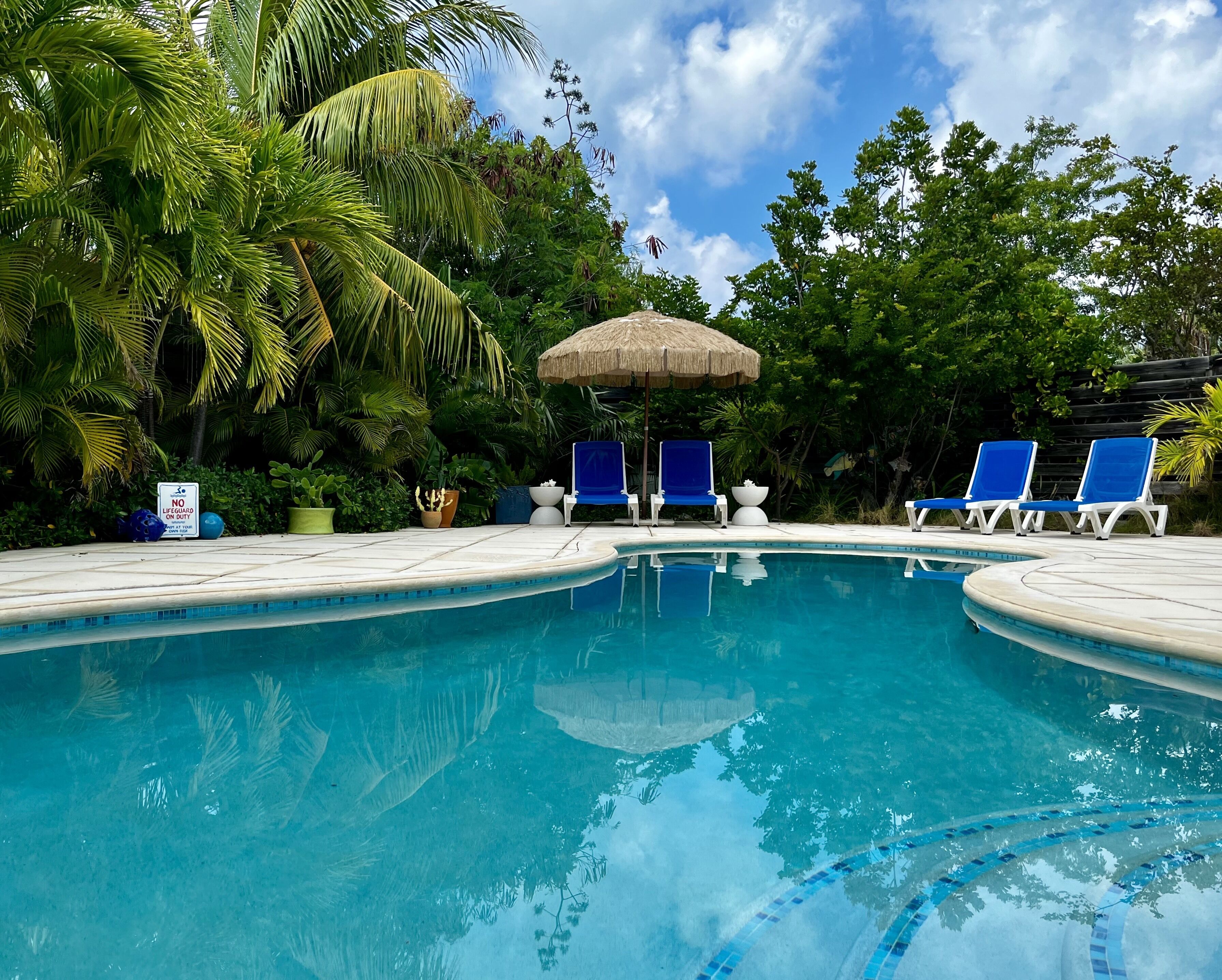 Blue loungers and a straw umbrella stand on the pool deck.