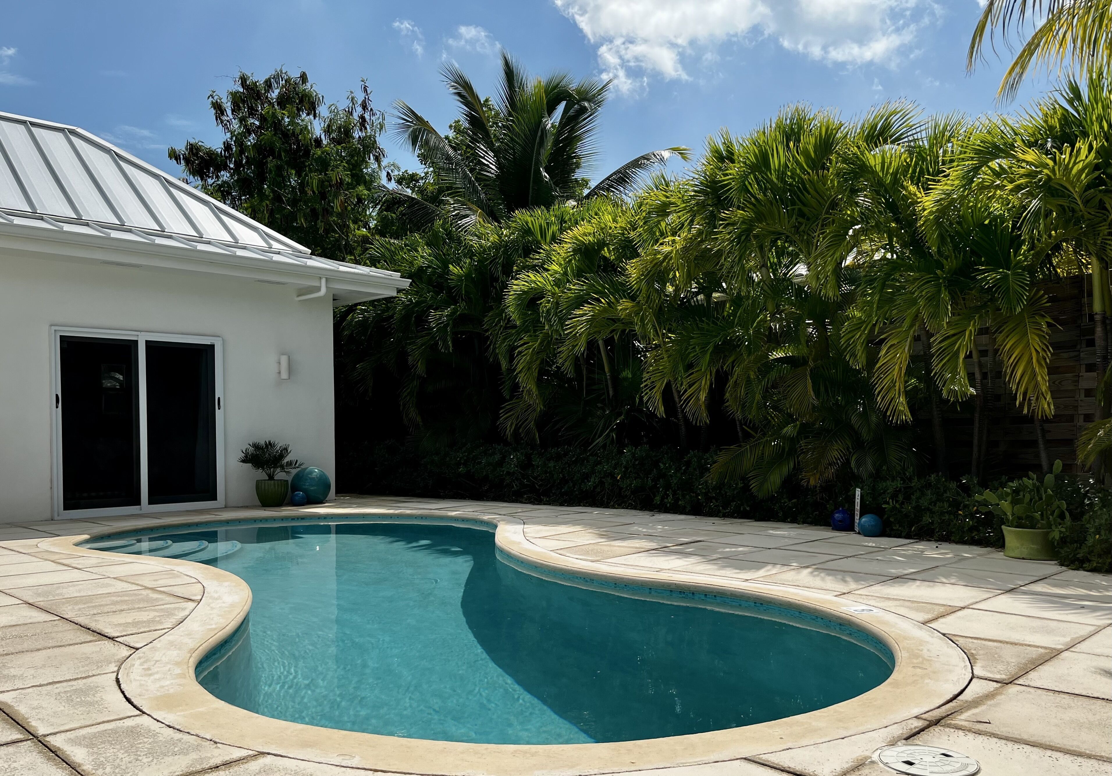 The curved pool lies in front of the villa and tall palms.