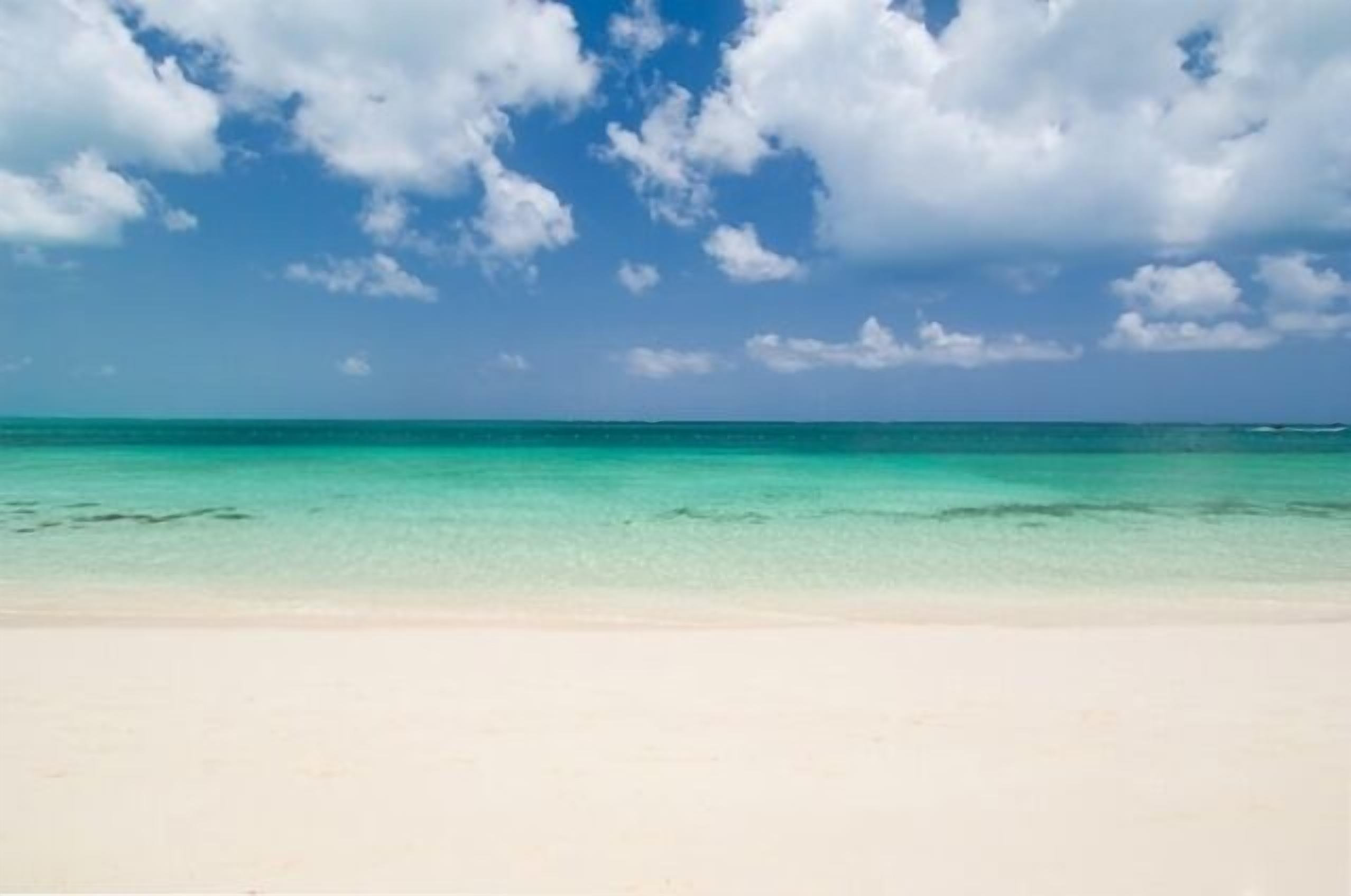 The beach and the sea.
