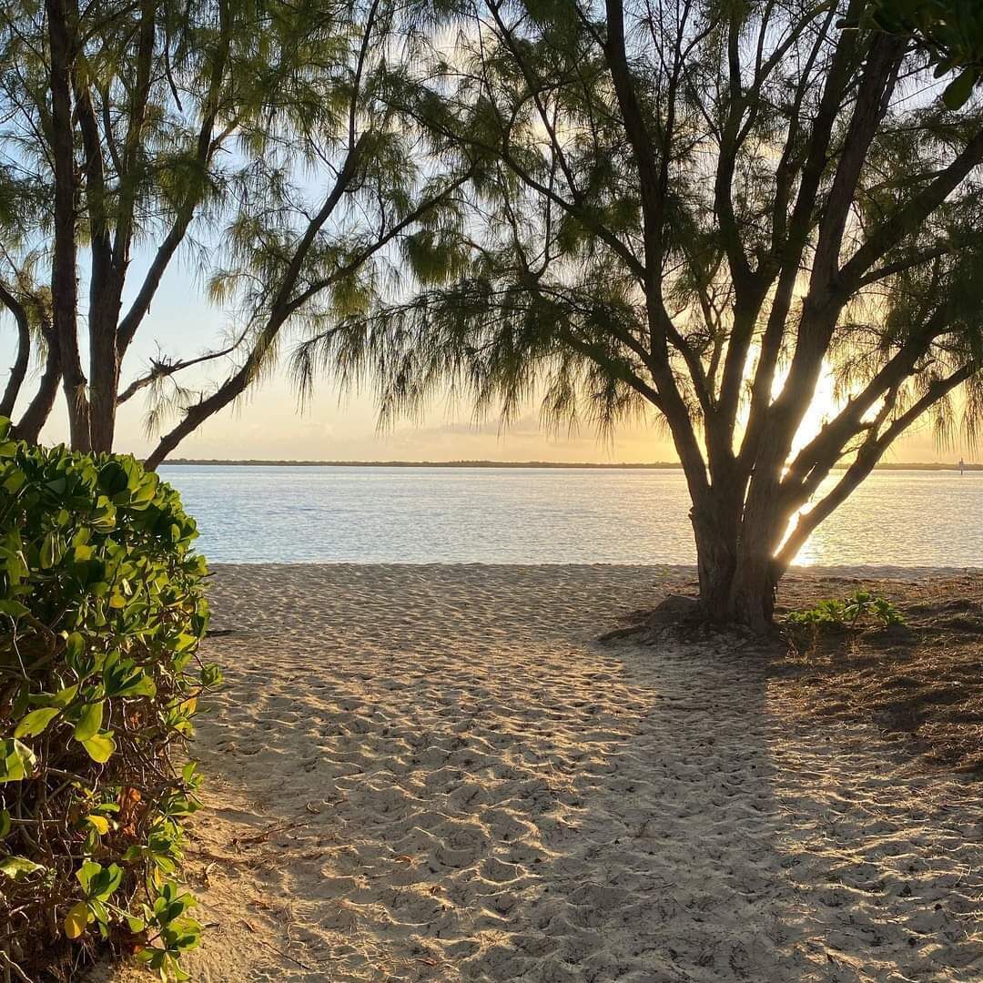 The beach at sunset.