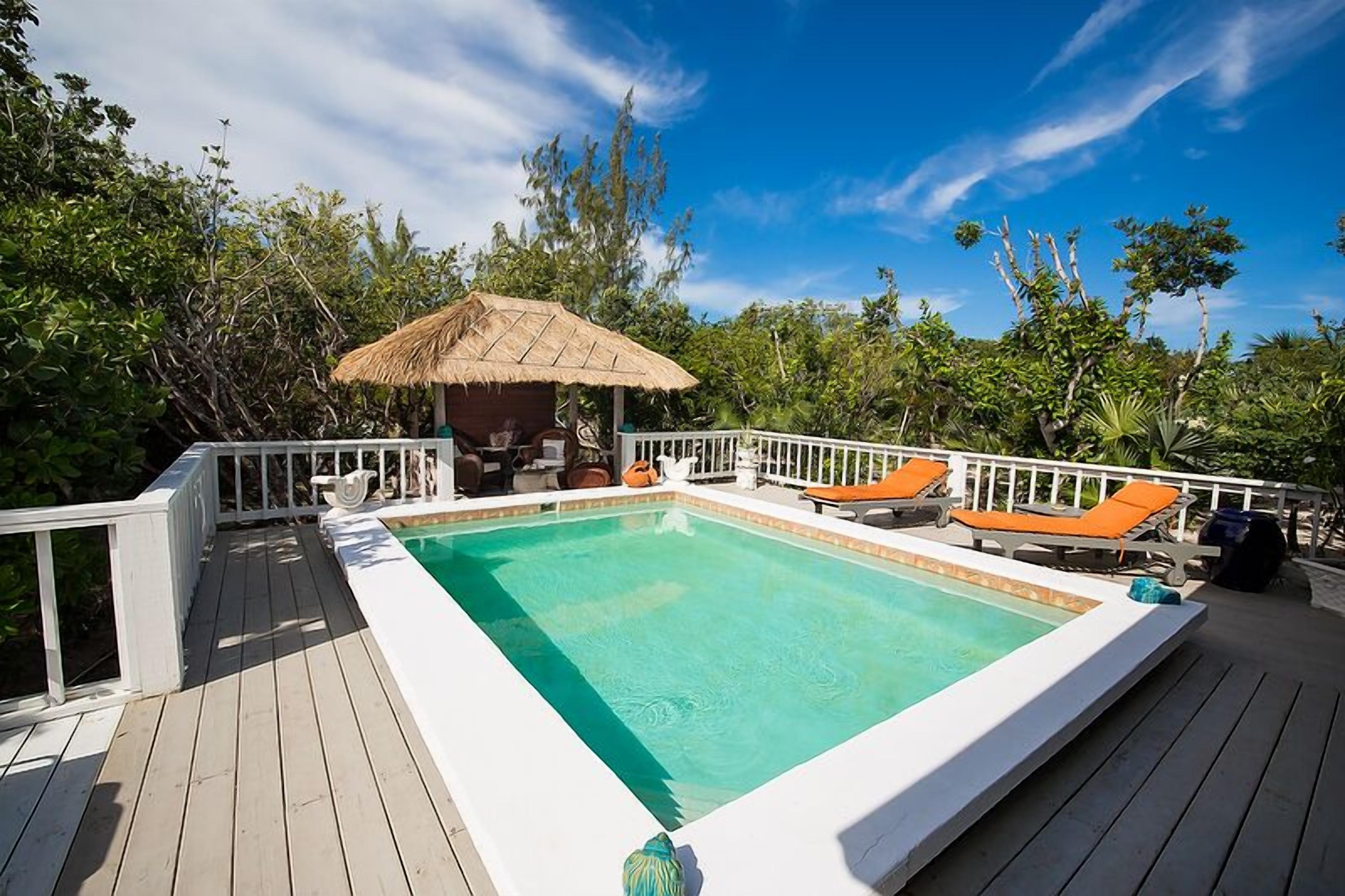 The pool, the deck, and a thatch hut.
