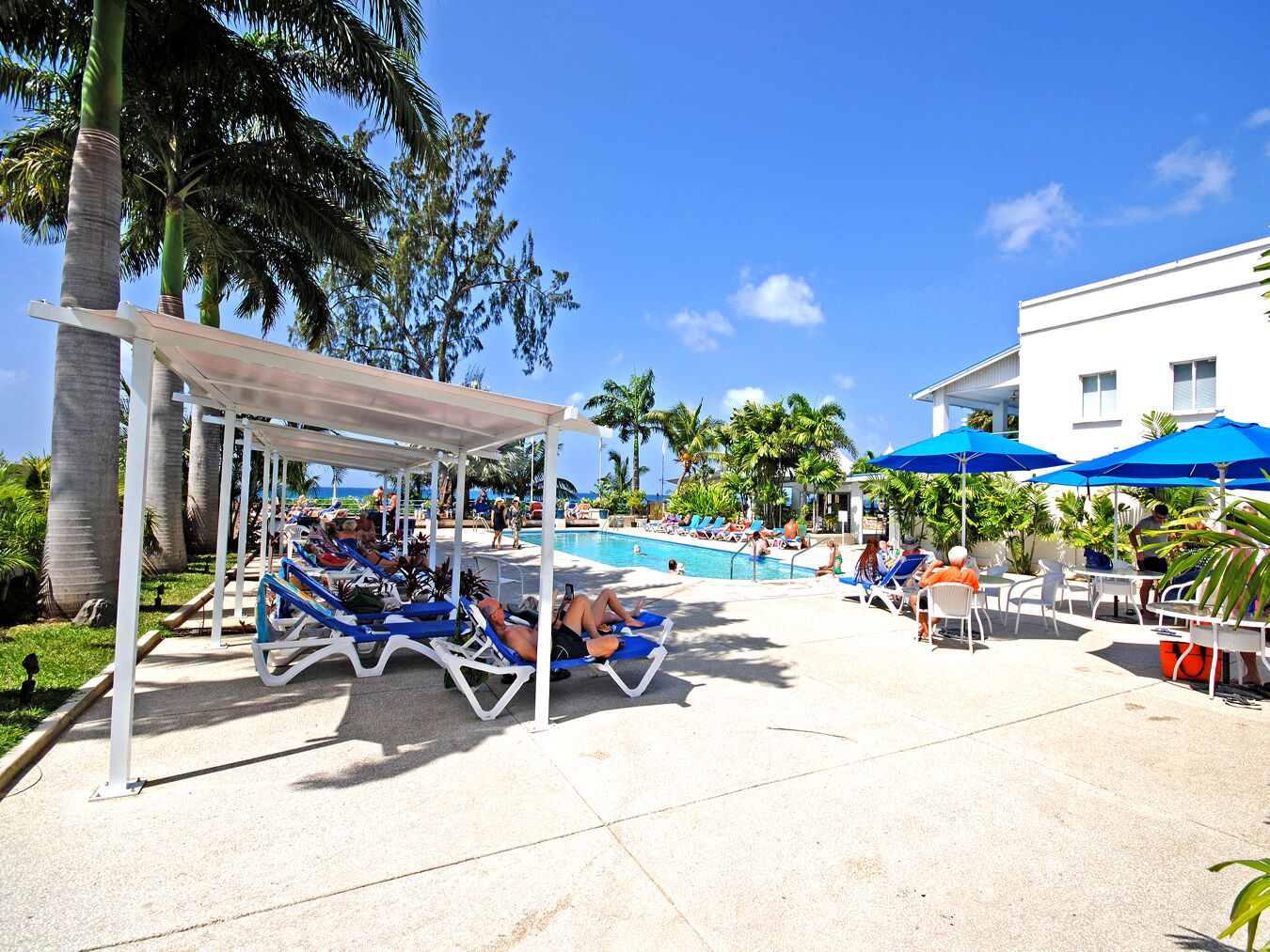 A shared pool area with sun loungers and umbrellas near the sea.