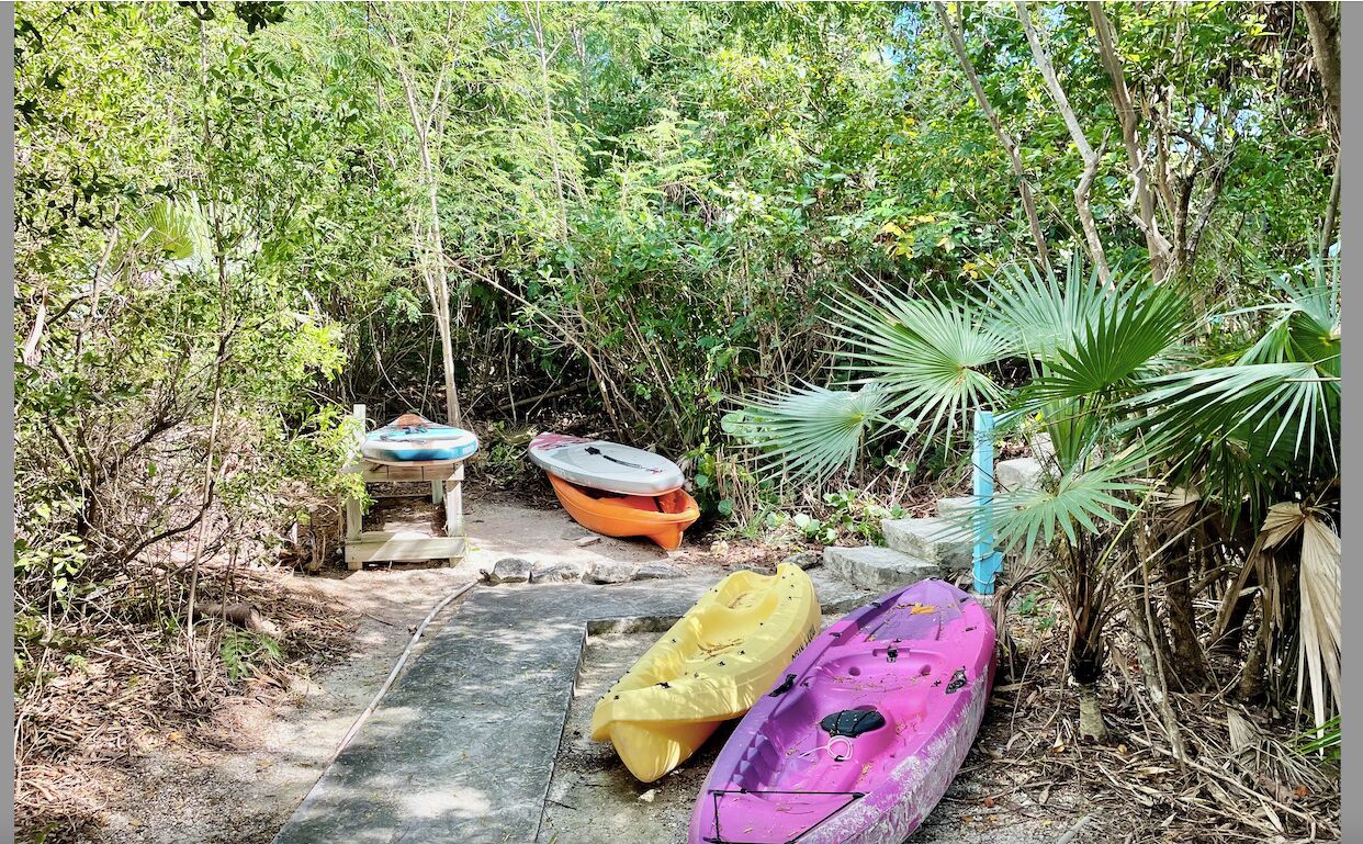 Kayaks and paddleboards on a path in the garden.