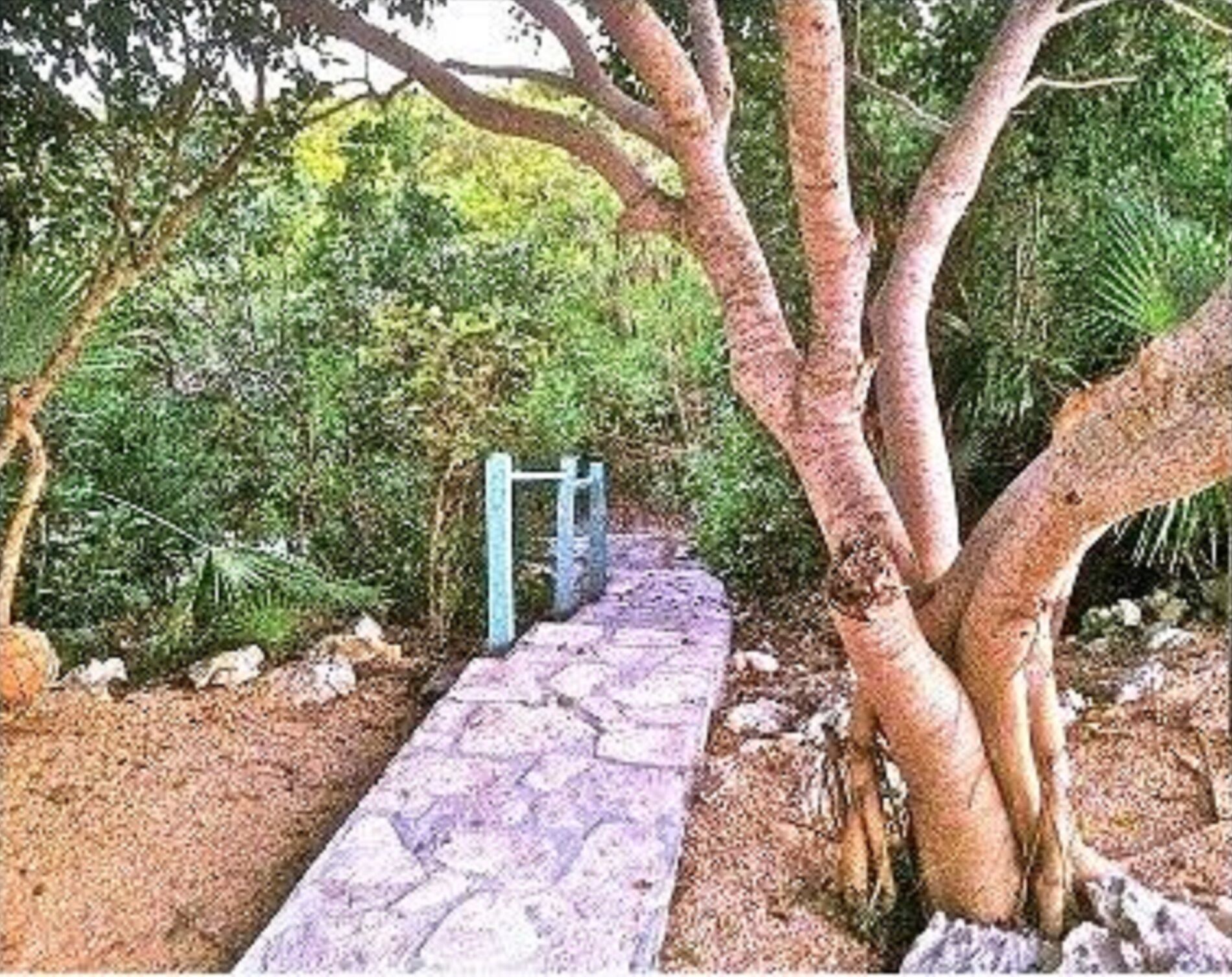 A stone path under trees toward the shore.