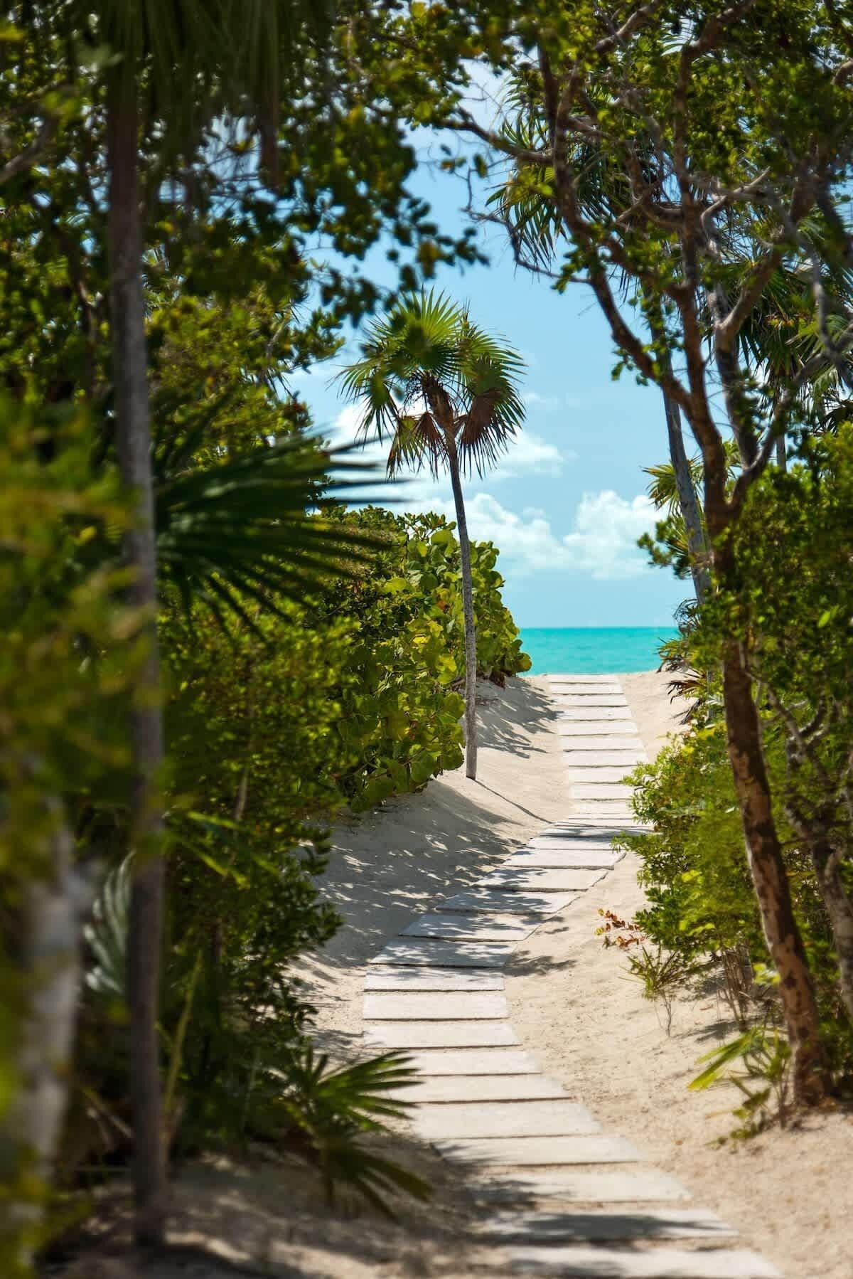 A paved path leads through green plants to Long Bay Beach.