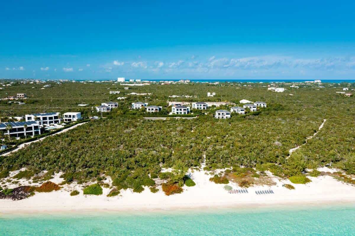 An aerial view shows villas among green plants behind the beach.