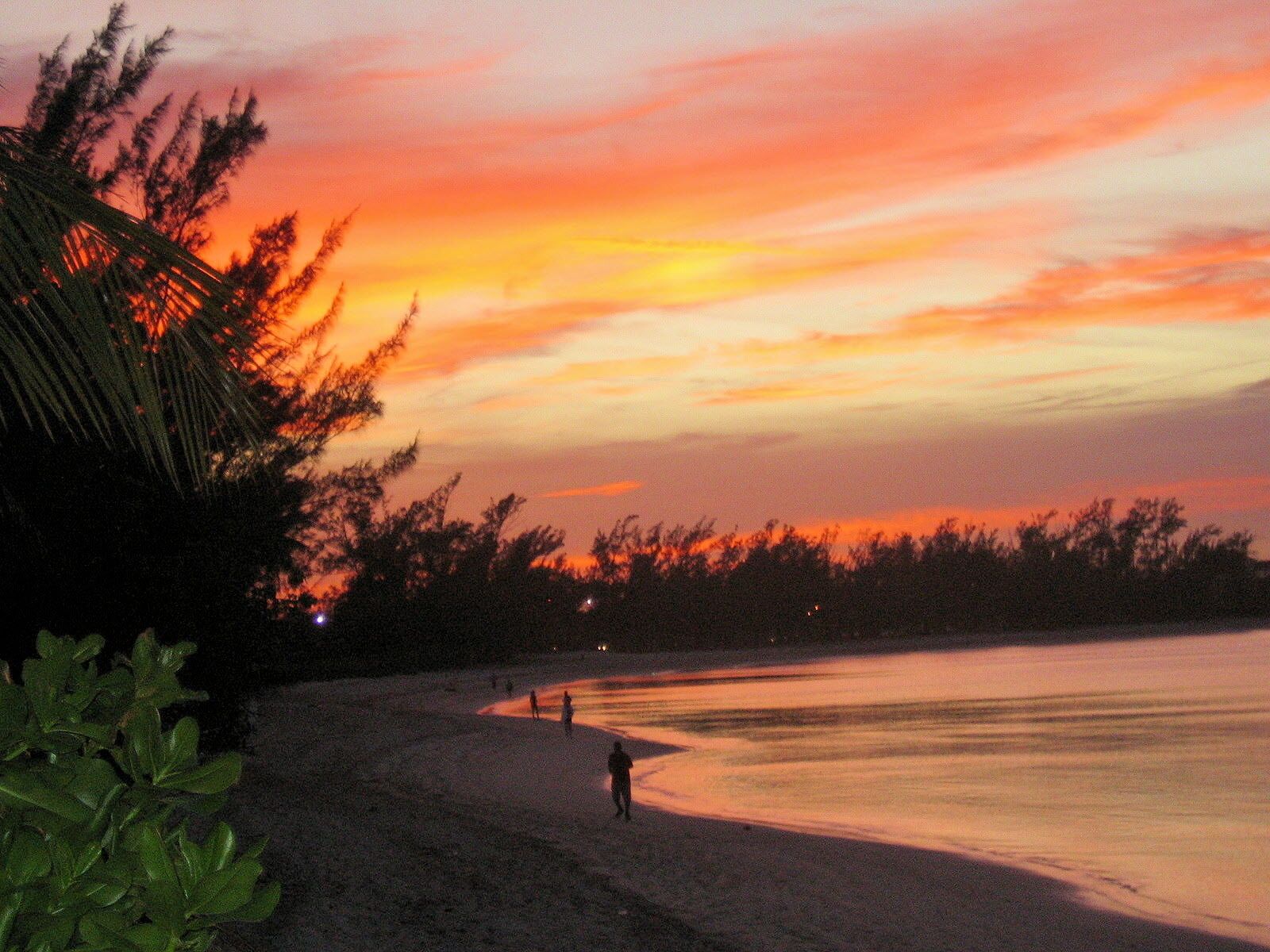 Cable Beach at sunset, with trees in silhouette.