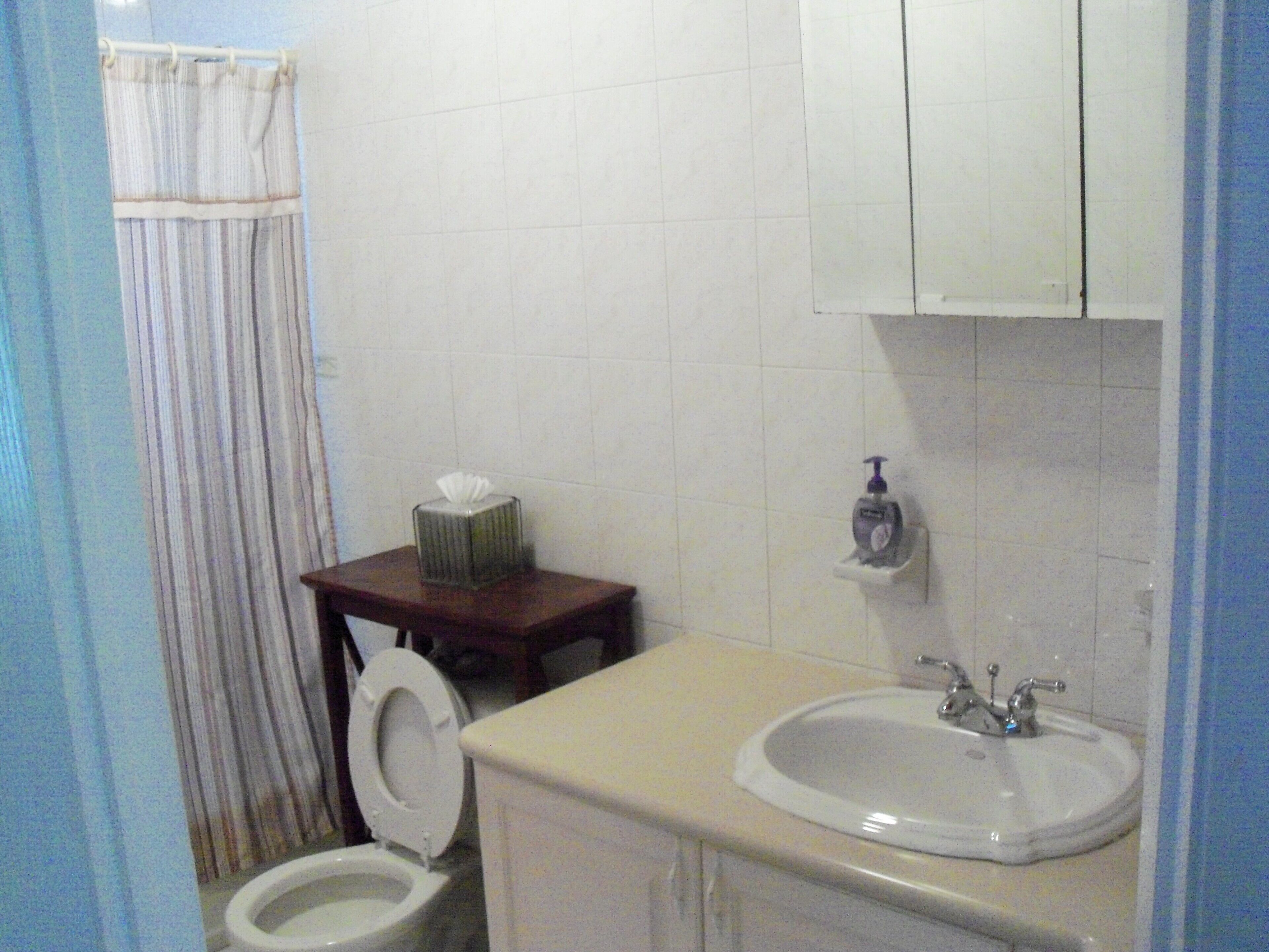 The bathroom has a toilet, a sink, and a shower with a curtain.