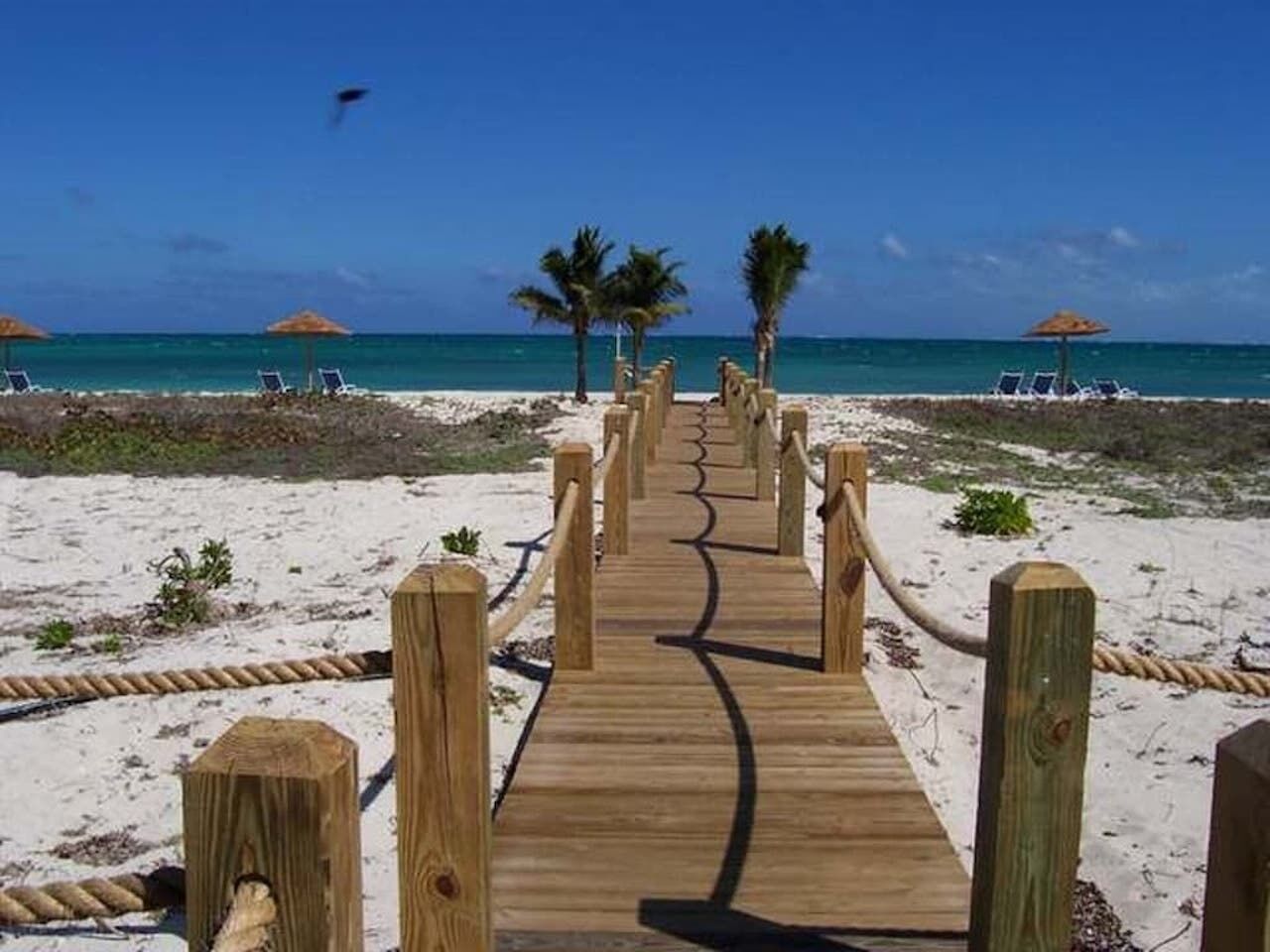A wood walkway with rope rails that goes to the beach.