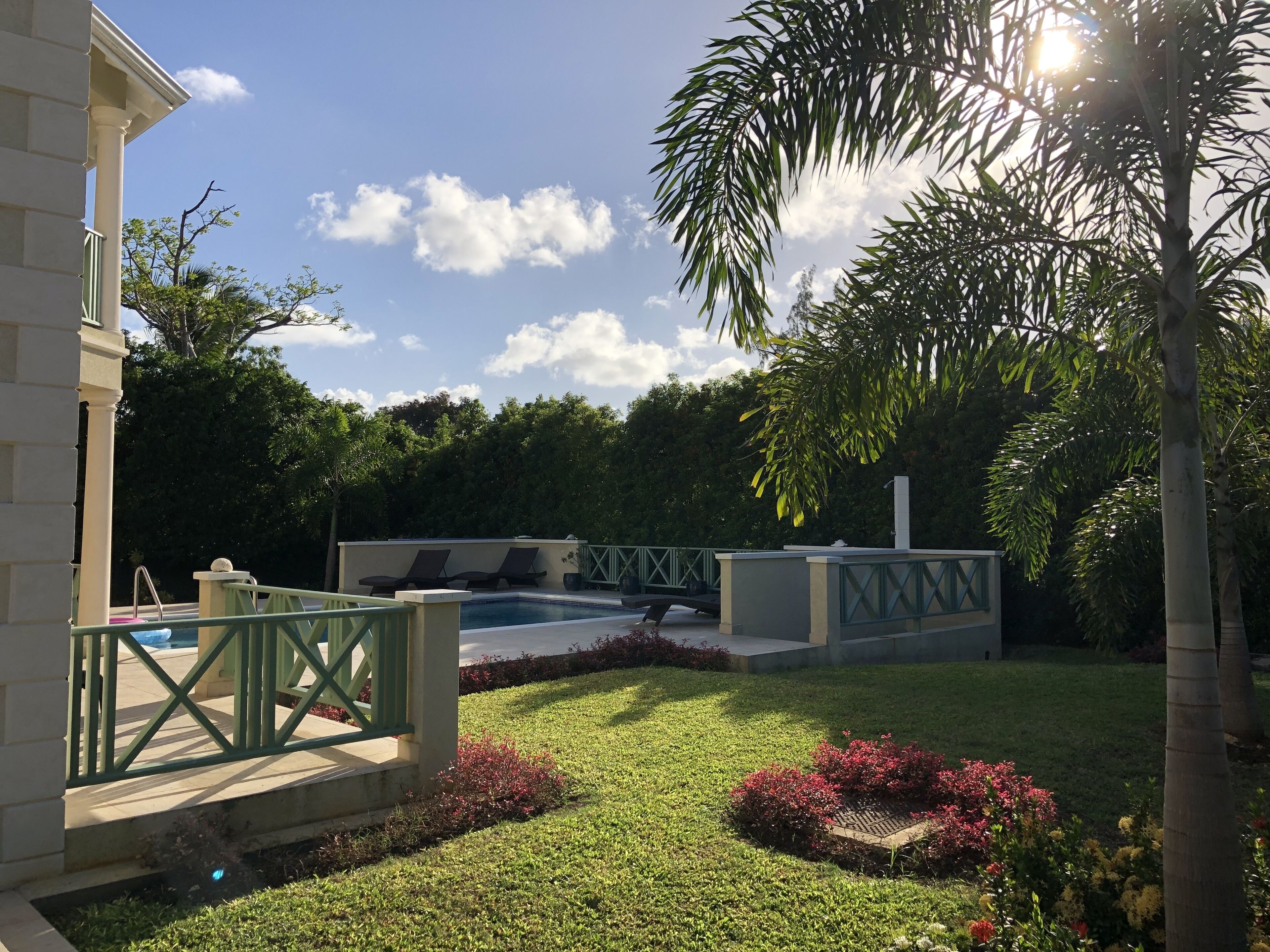 The garden and the pool terrace in the afternoon sun, with palm trees.