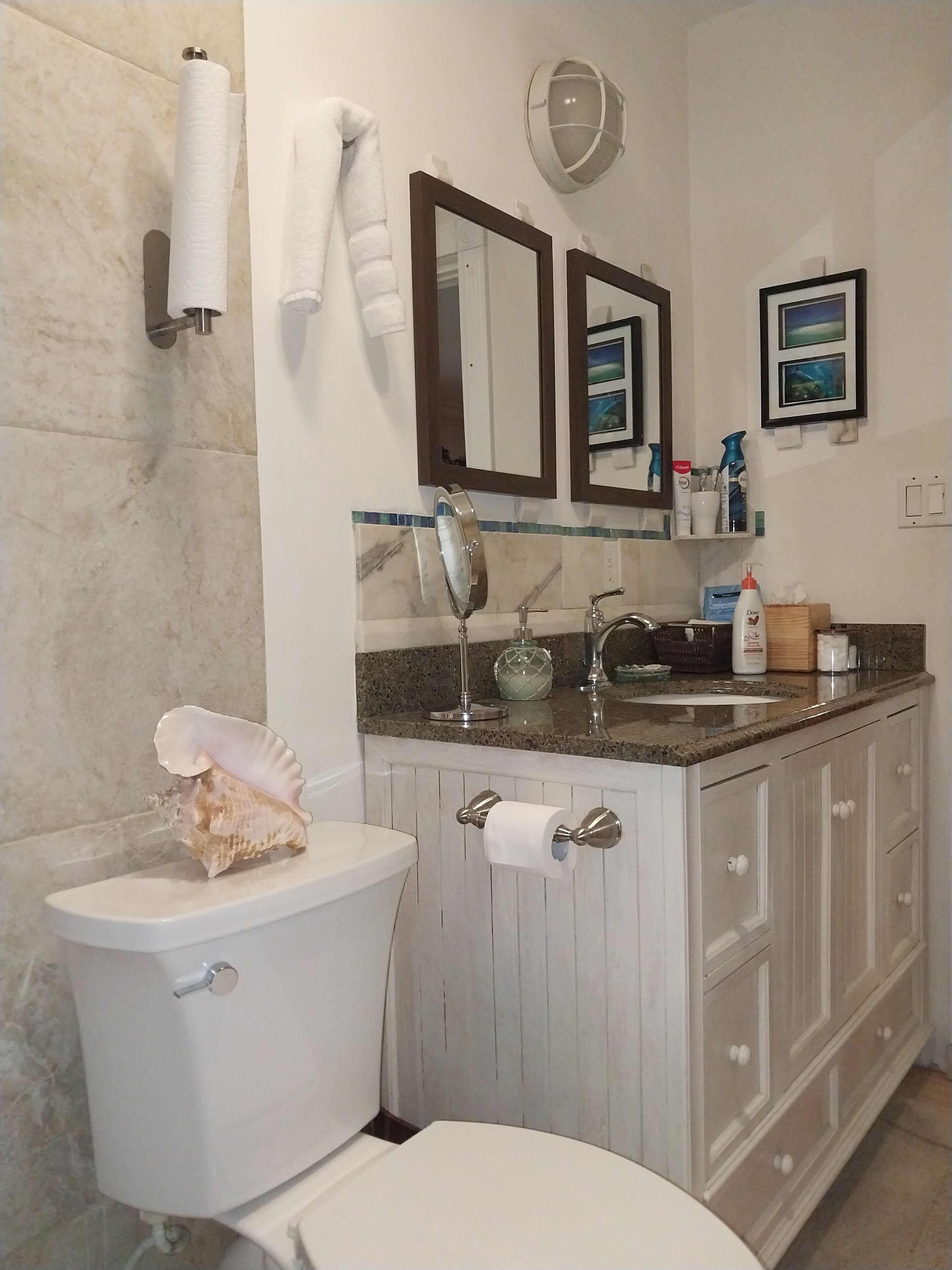 A bathroom with a toilet and a vanity.