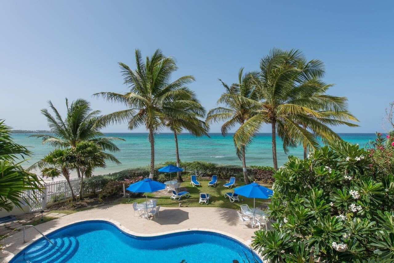 The pool below palm trees, with the sea beyond.