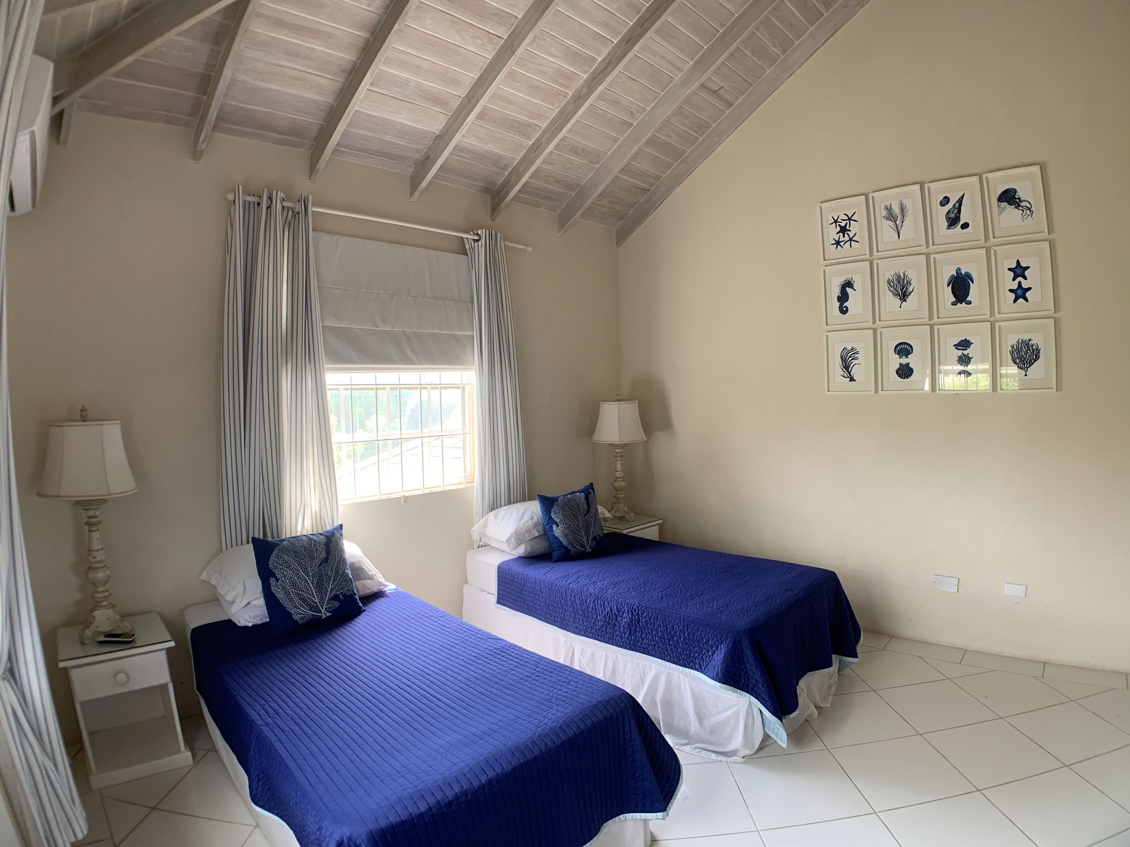 A bedroom with two single beds, blue bedspreads, and twelve framed sea-life prints.