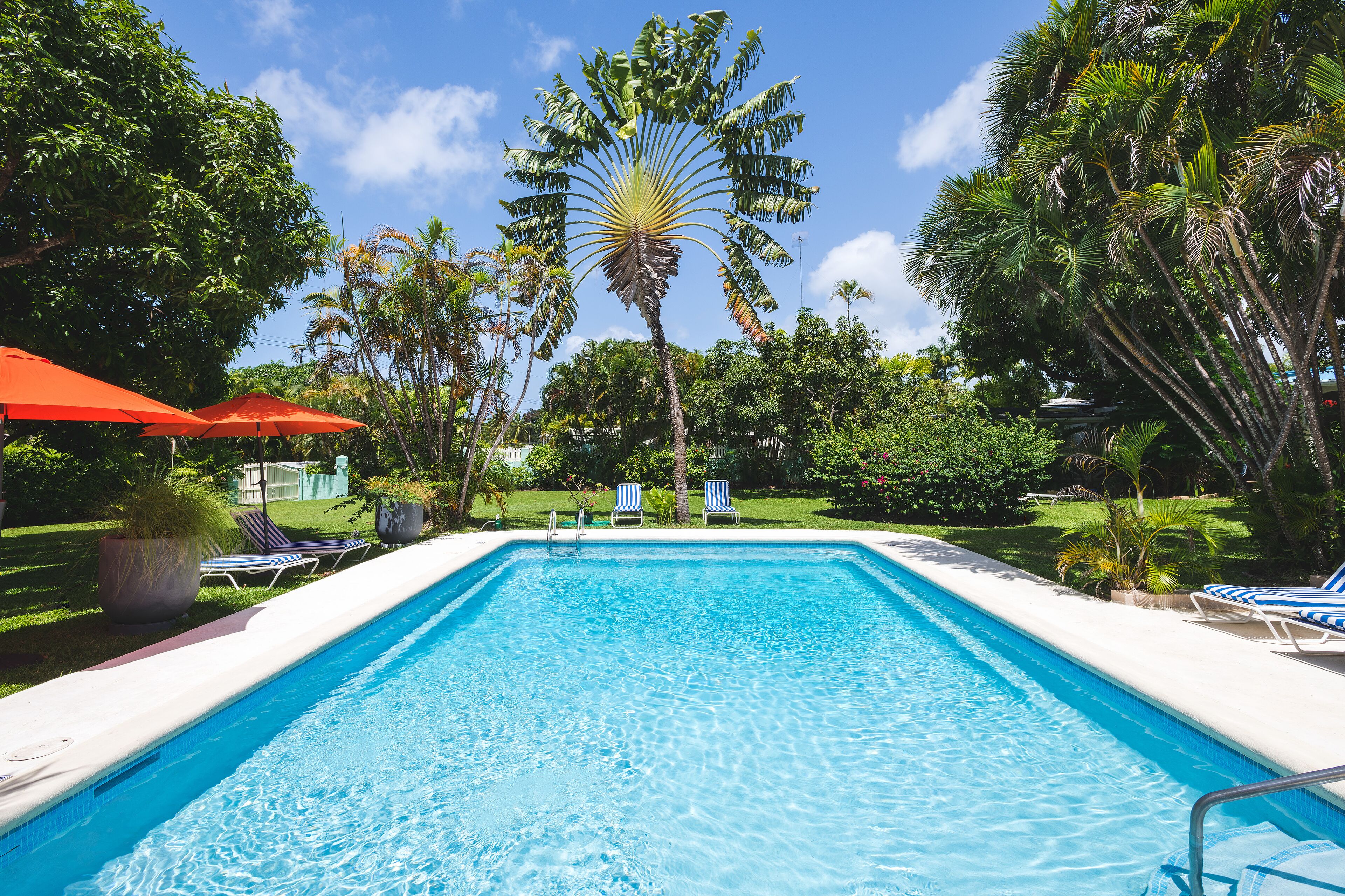 The pool with two orange umbrellas and palm trees in the garden.