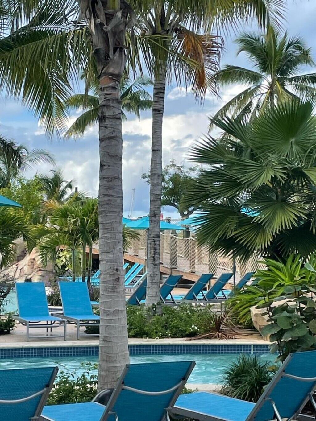 A pool with sun loungers and palm trees.