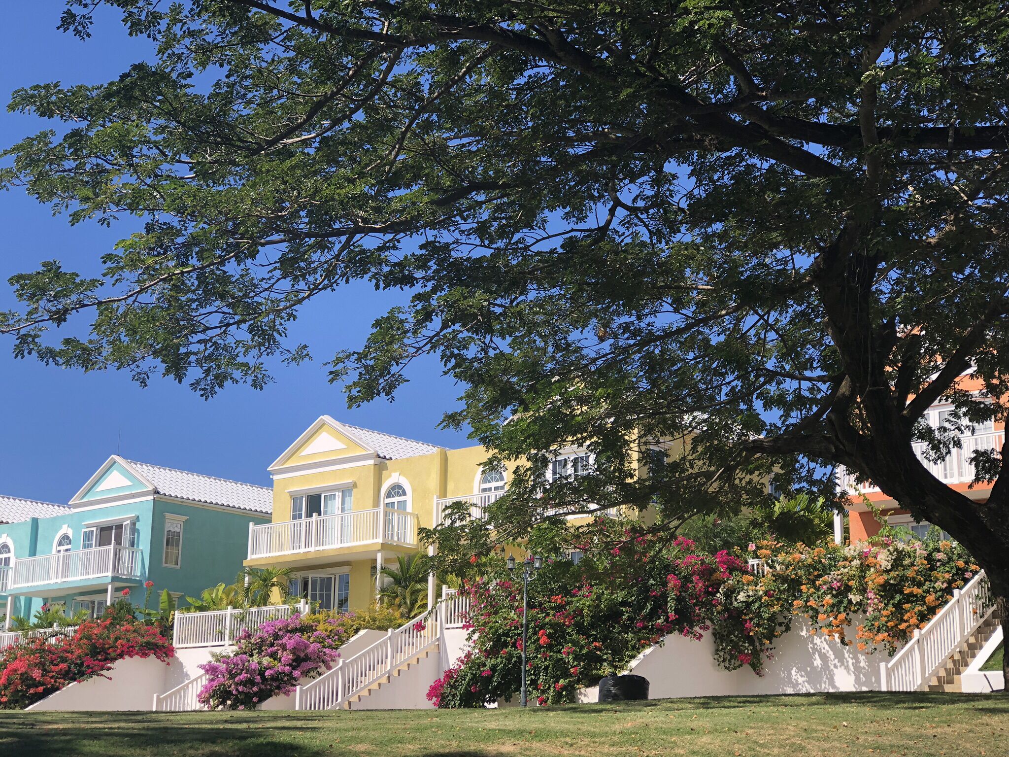 A row of townhomes in pastel colors stands behind white stairs and flower bushes.