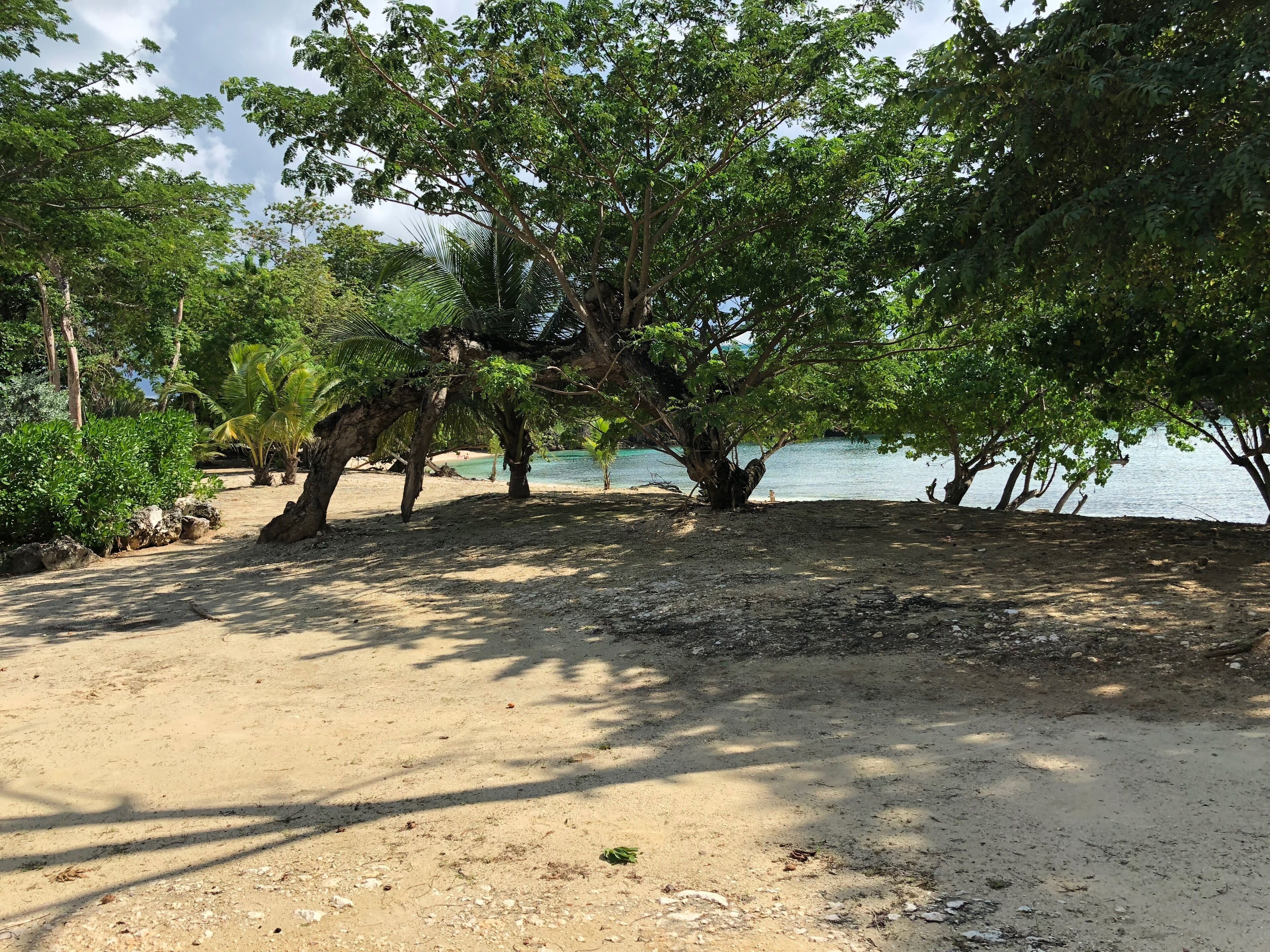 Trees give shade on a sand area beside the sea.