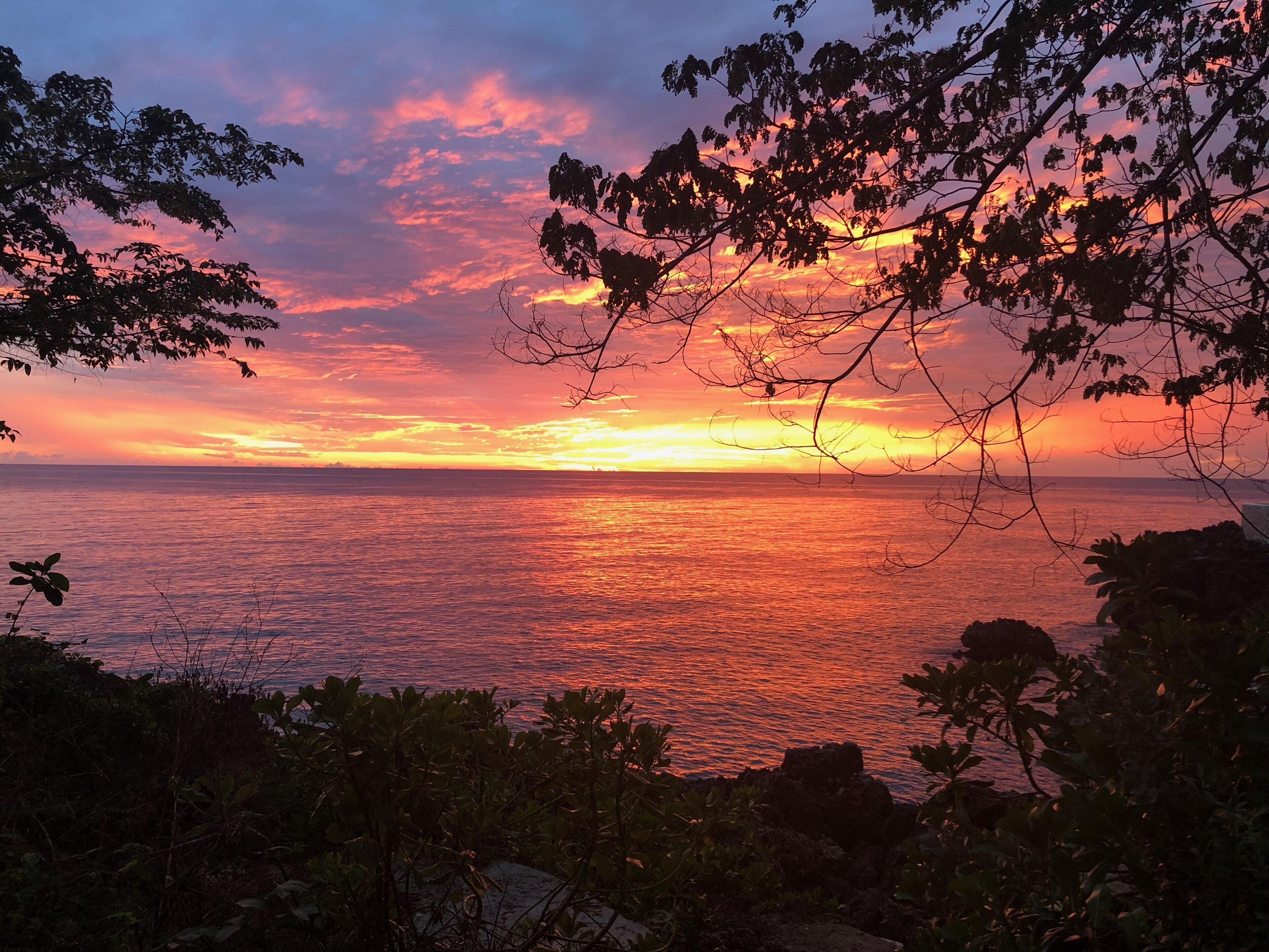 The sun sets over the sea behind tree branches.