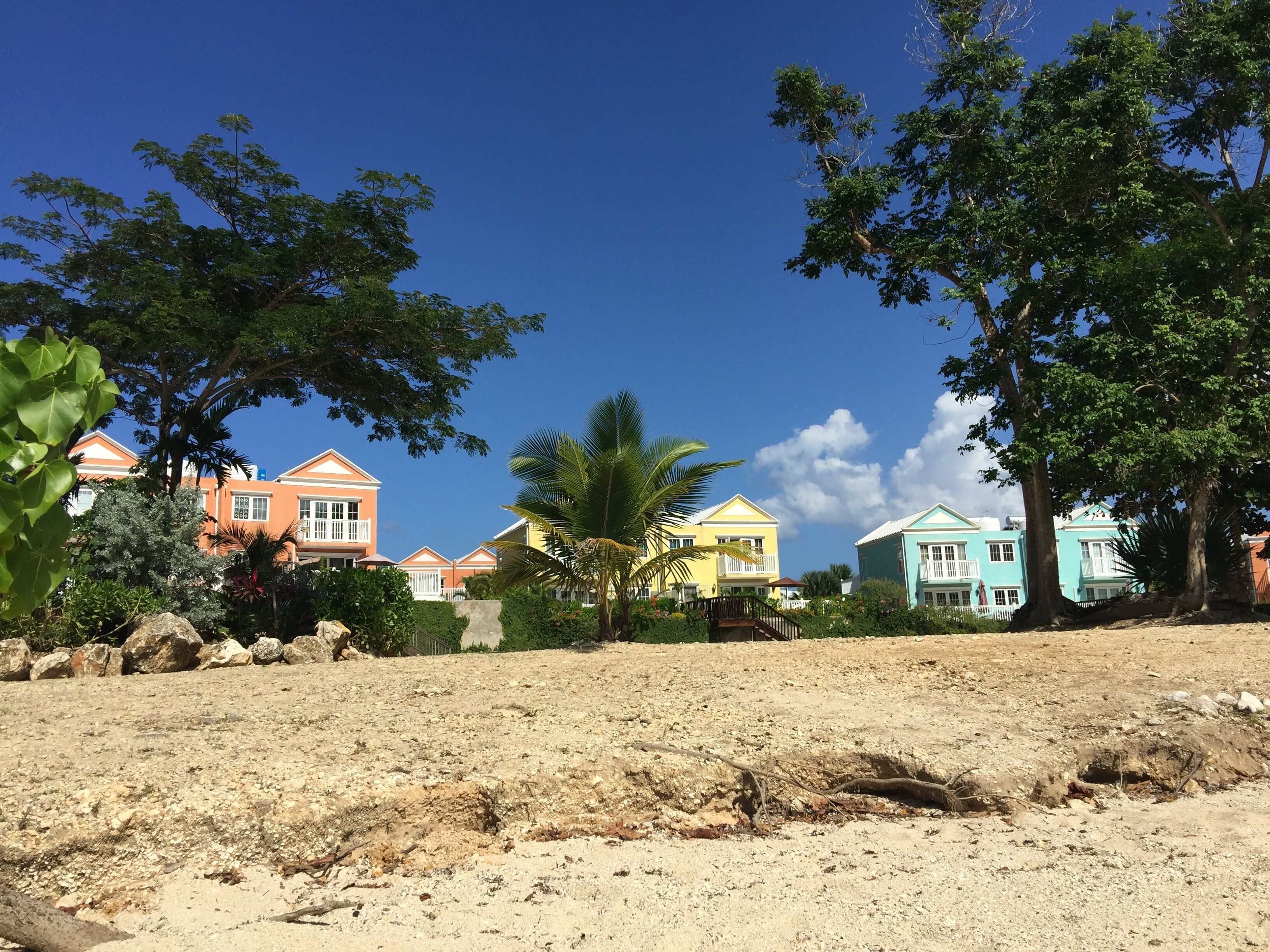 Townhomes in pastel colors stand behind a beach with a palm tree.