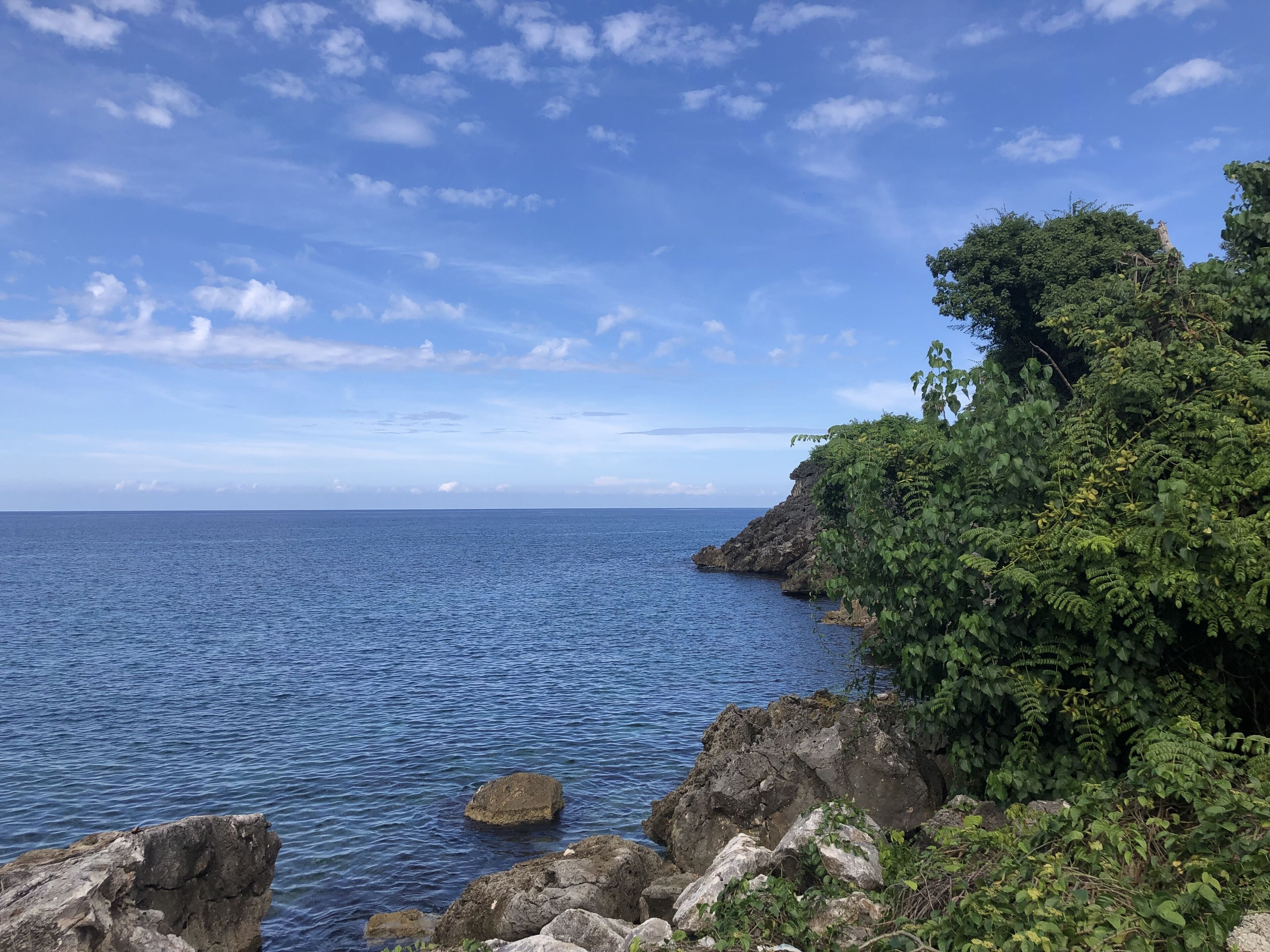 Rocks and green plants border the blue sea.