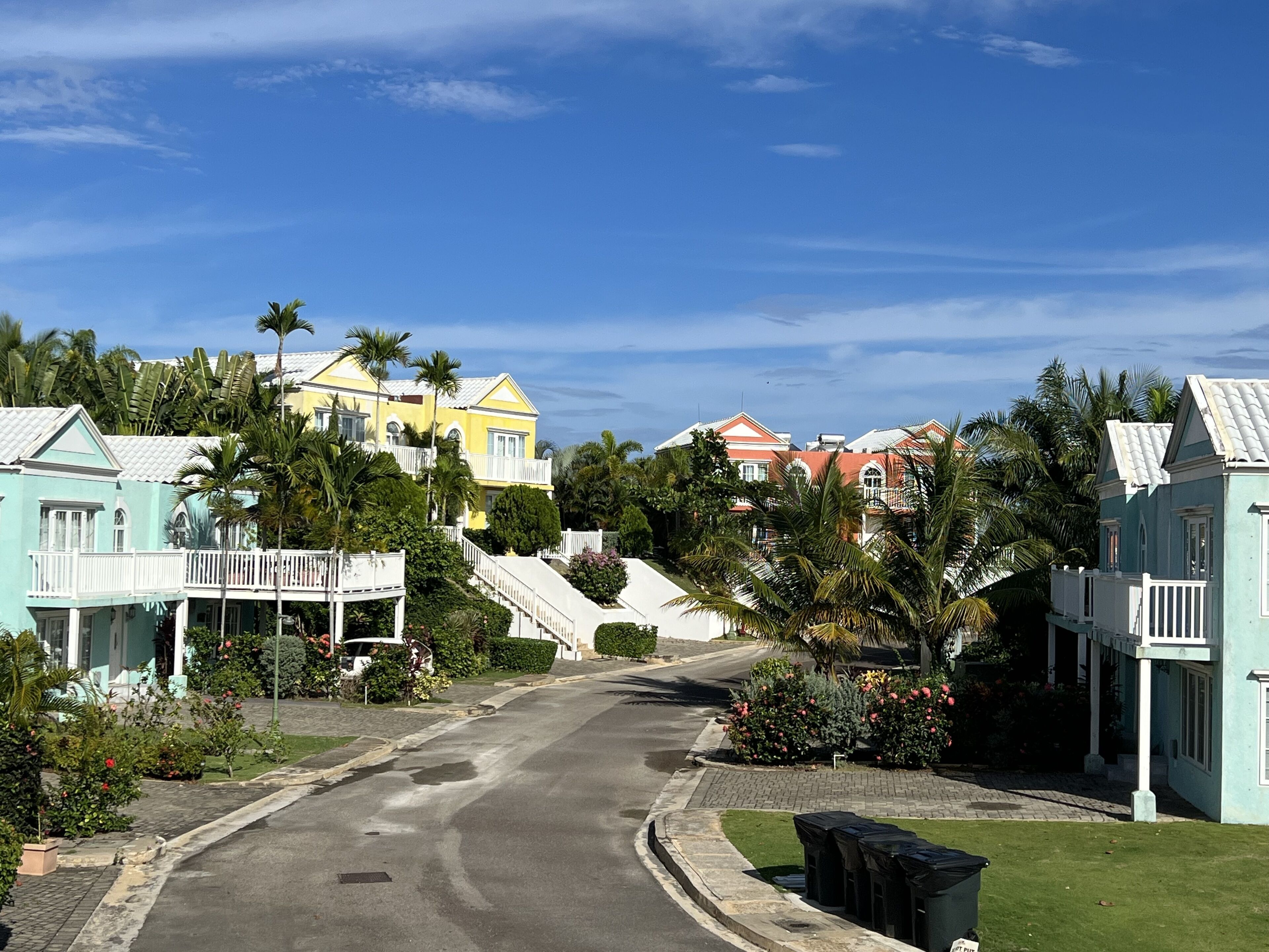 A road goes through the townhome community with palm trees.