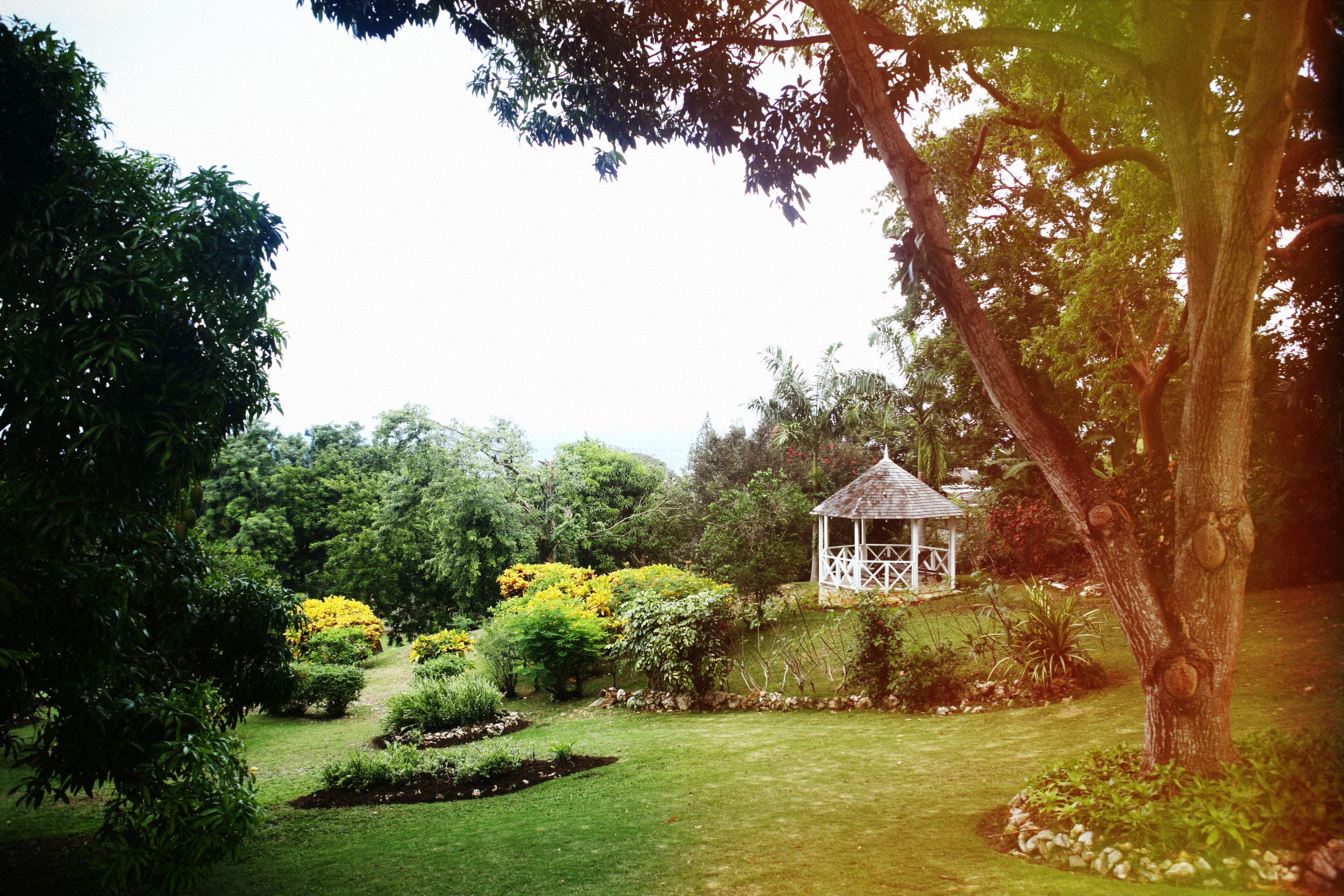 The garden with a white gazebo, lawns, and trees.