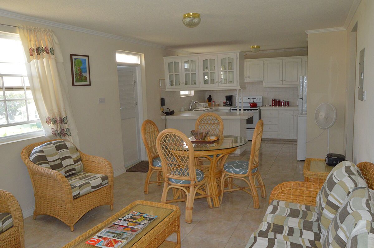 The living room and the dining table, with the kitchen beyond.