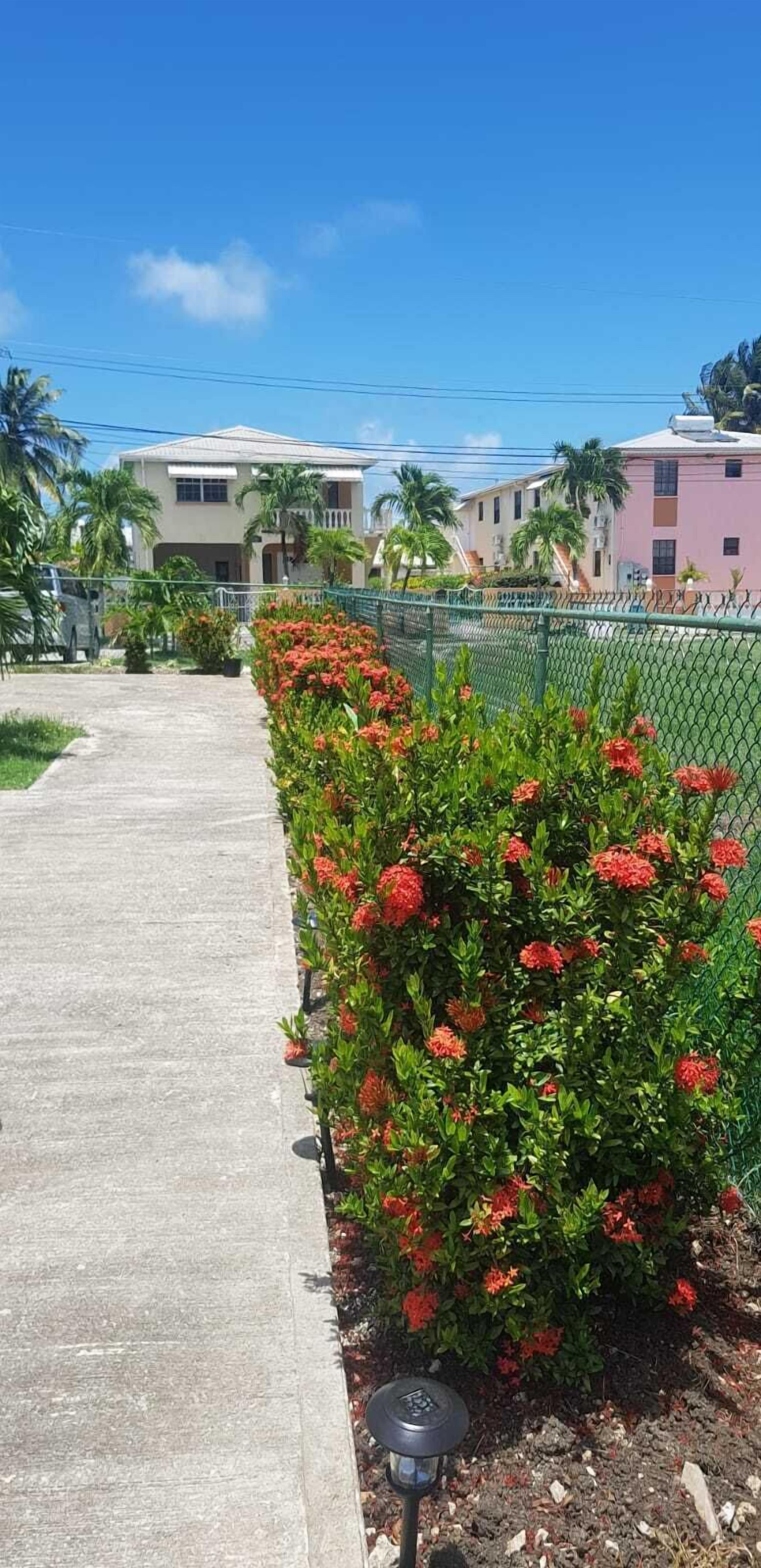 A path with red flowers along a fence, with houses beyond.