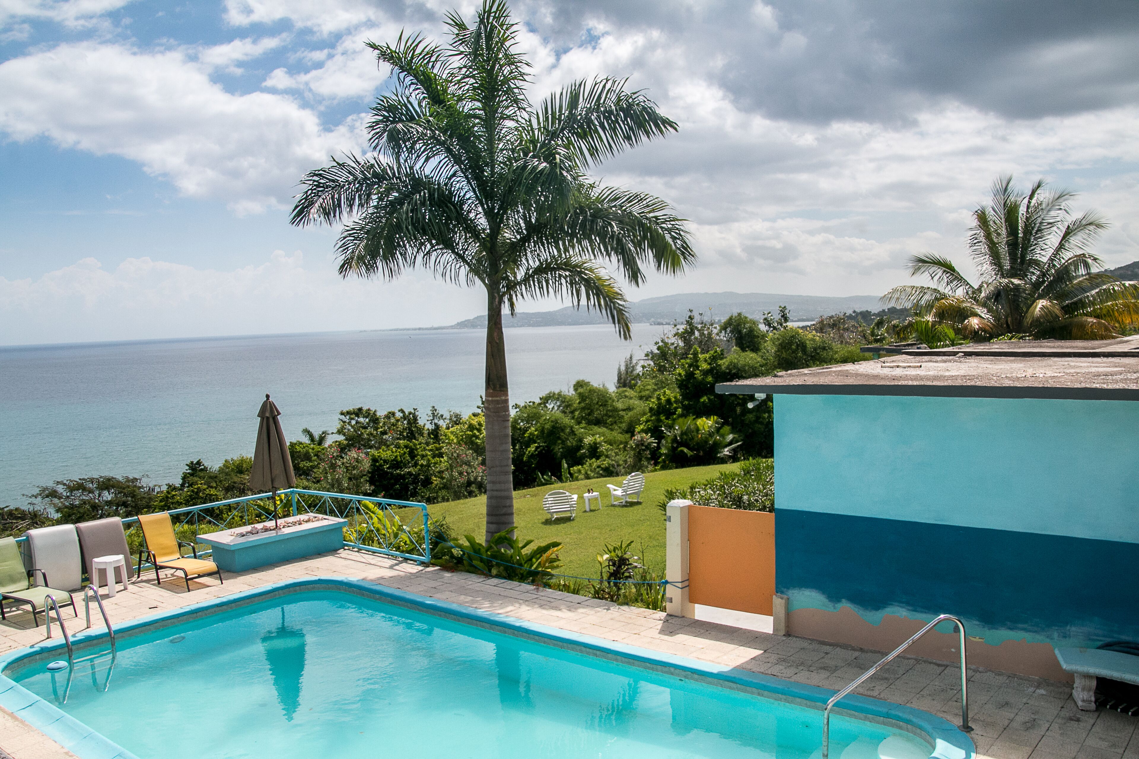 The pool and a palm tree above the lawn, with a view of the sea.
