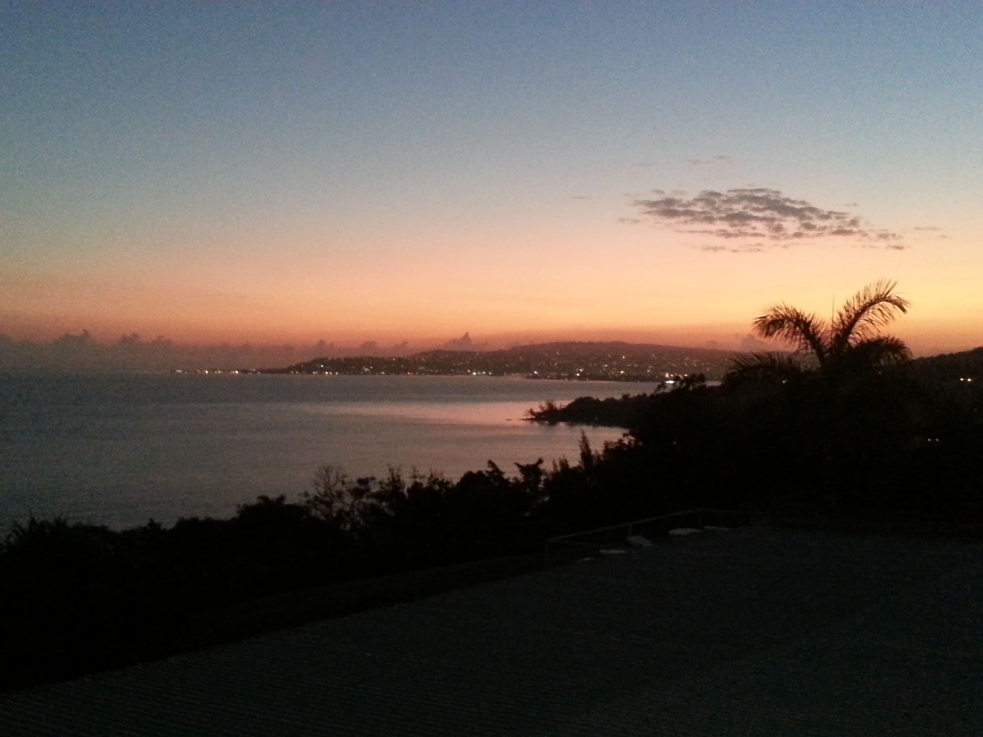 The sea and the coast at sunset, with a palm tree in silhouette.