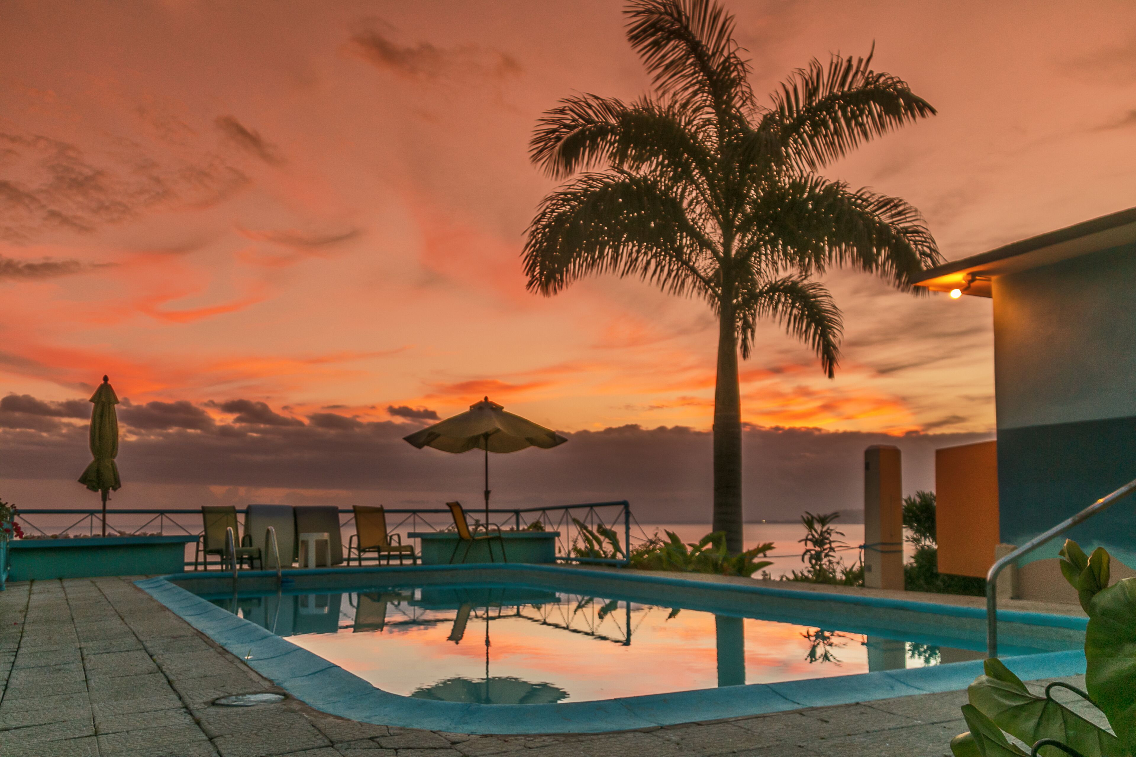 The pool and a palm tree at sunset, with an umbrella and lounge chairs.