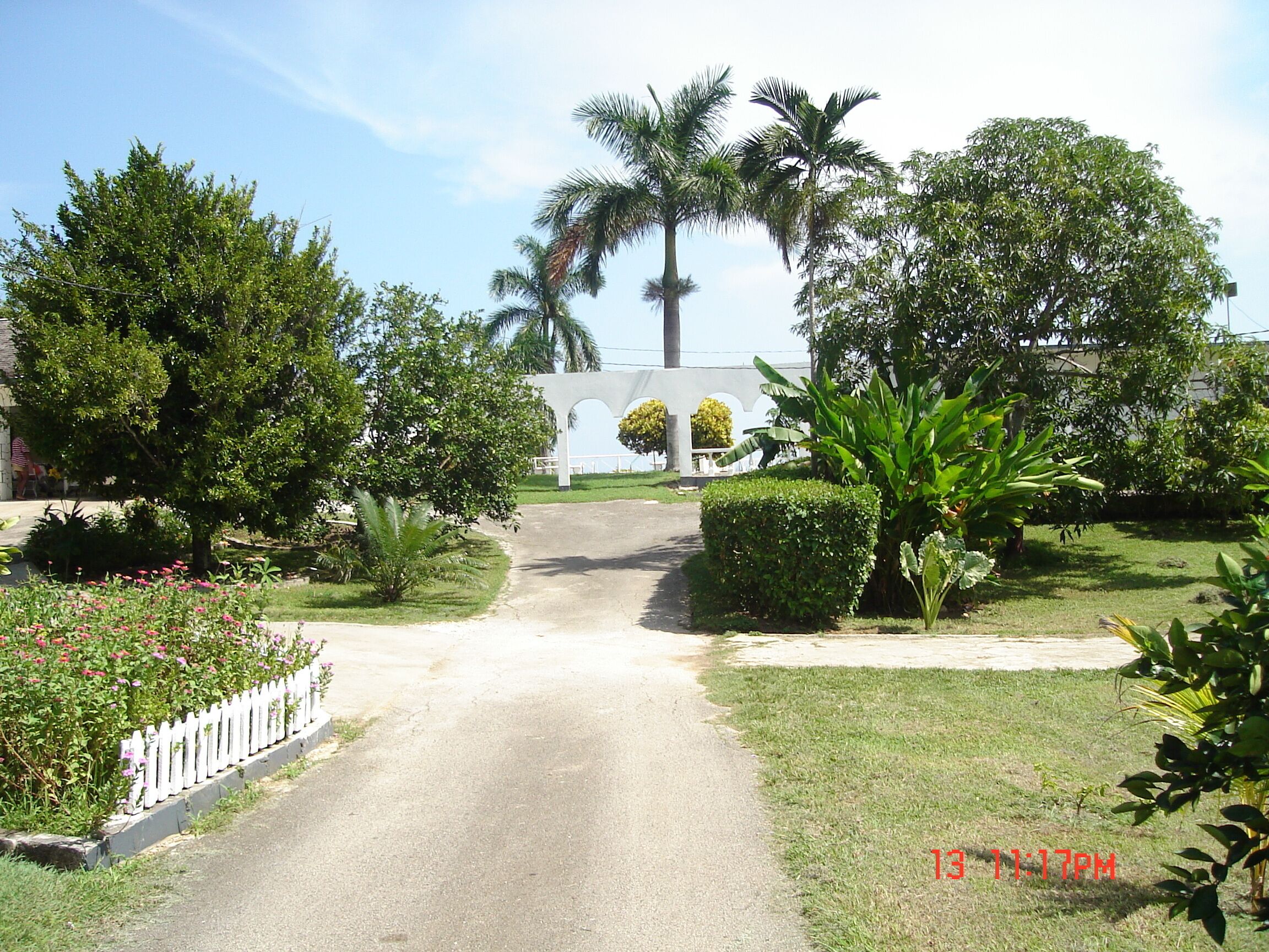 A garden path with flowers, palm trees, and a white arch.