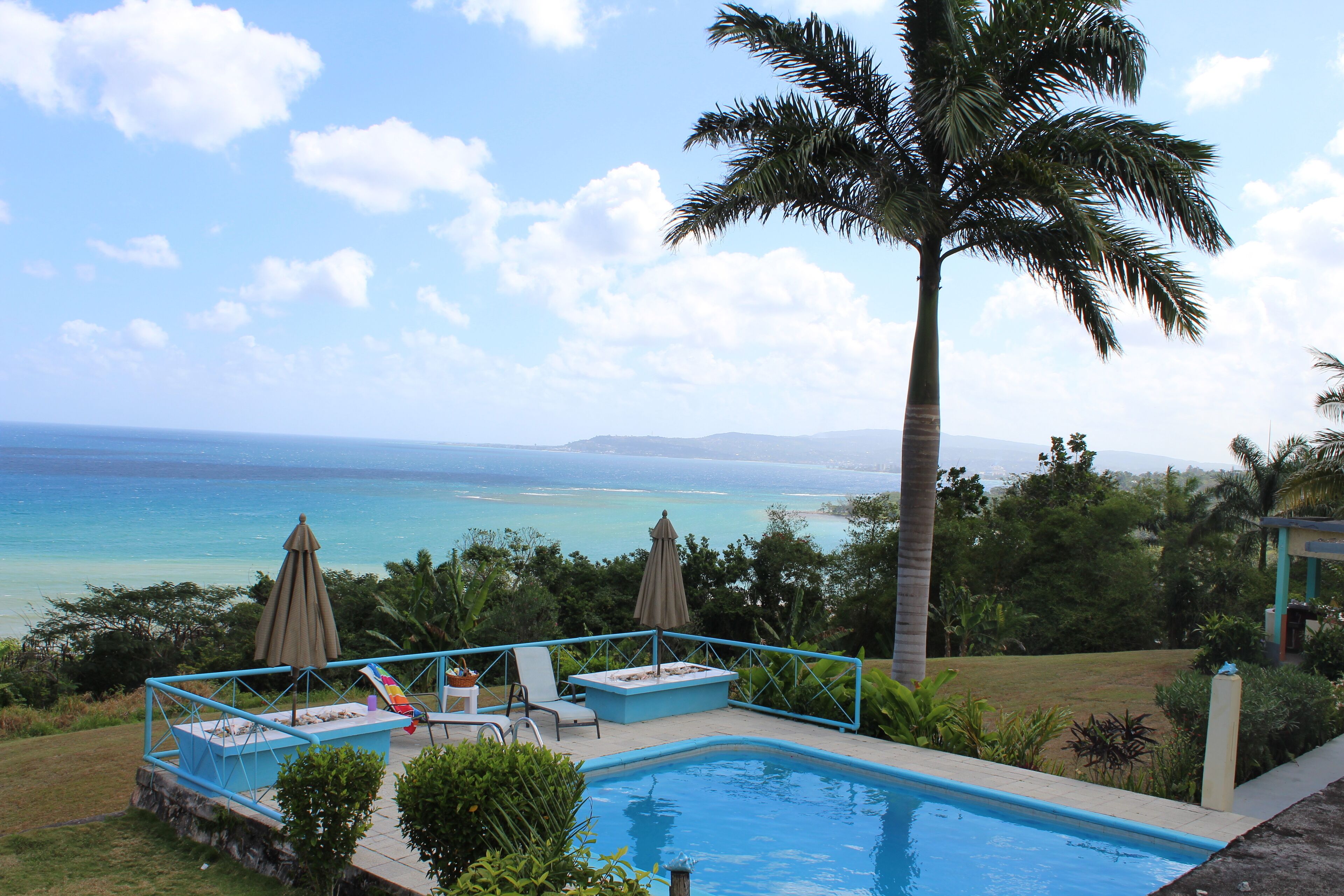 The pool with umbrellas and a palm tree, with a view of the sea.