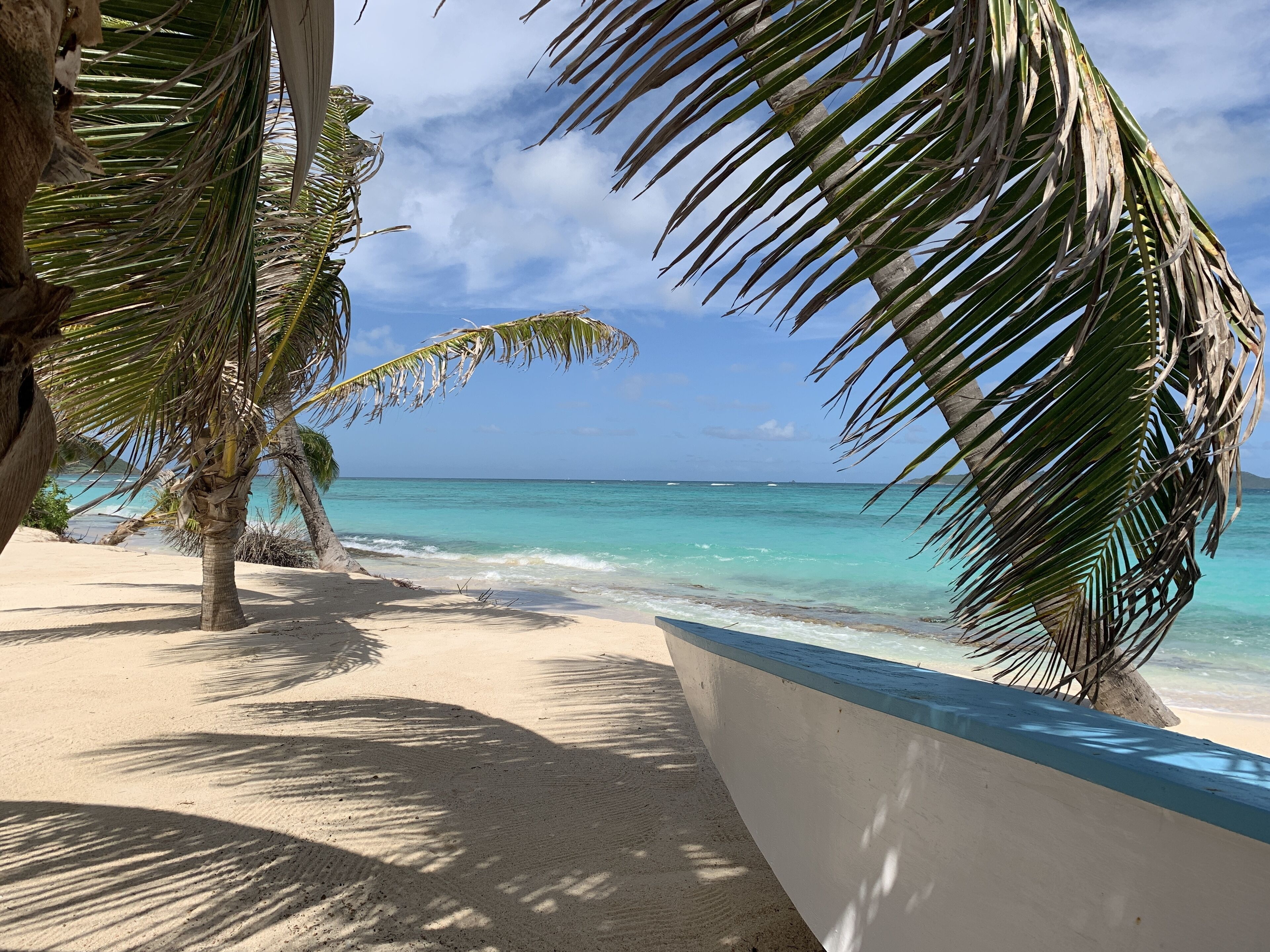 A boat on a sand beach under palm trees.