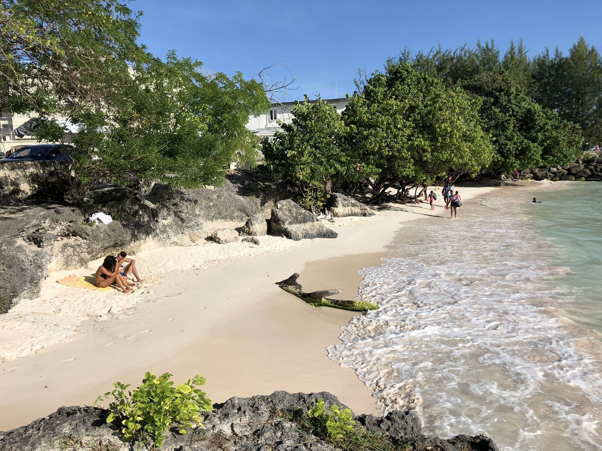 A sand beach with rocks and trees at the water edge.