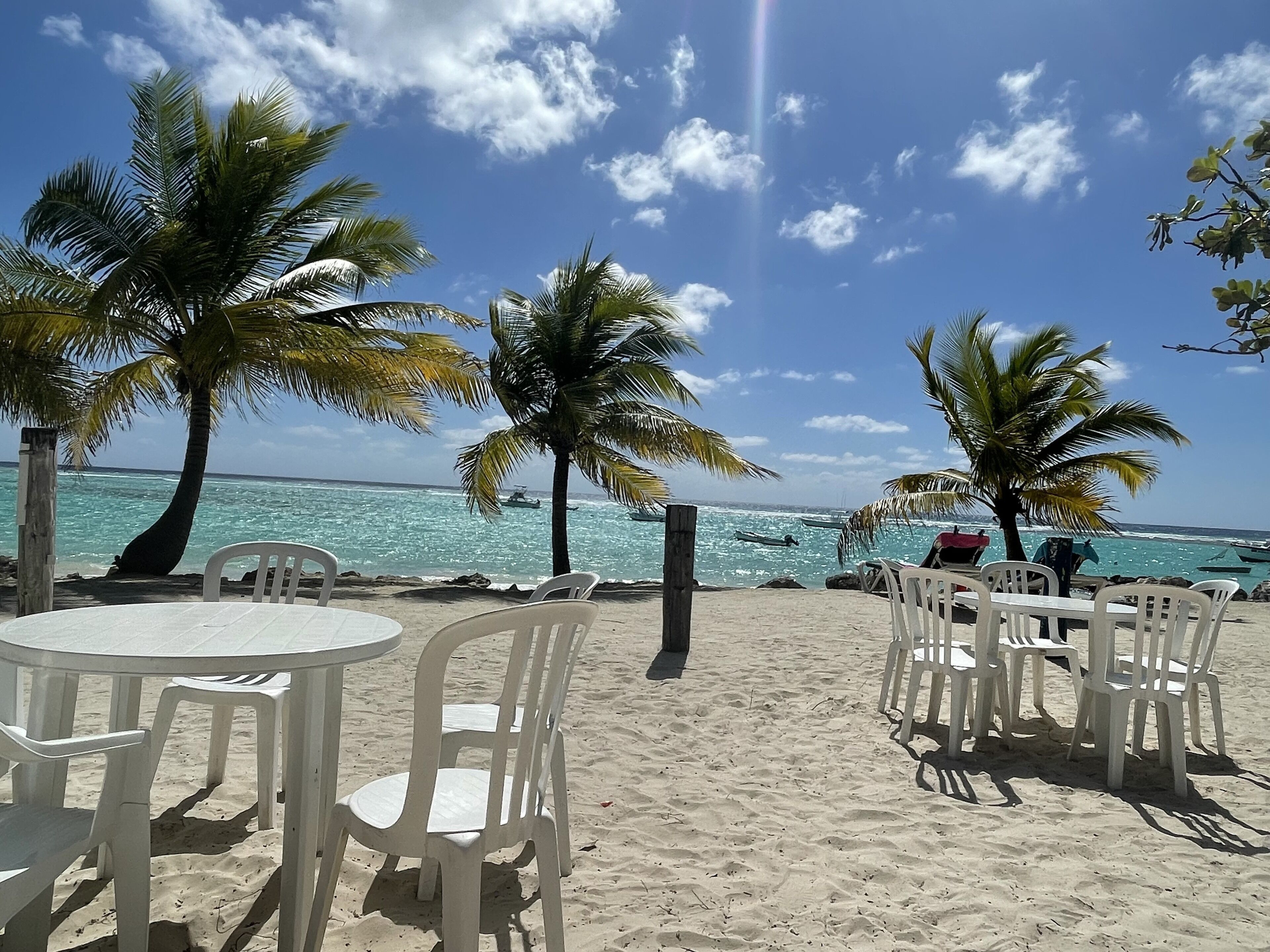 A beach with white plastic tables, chairs, and palm trees.