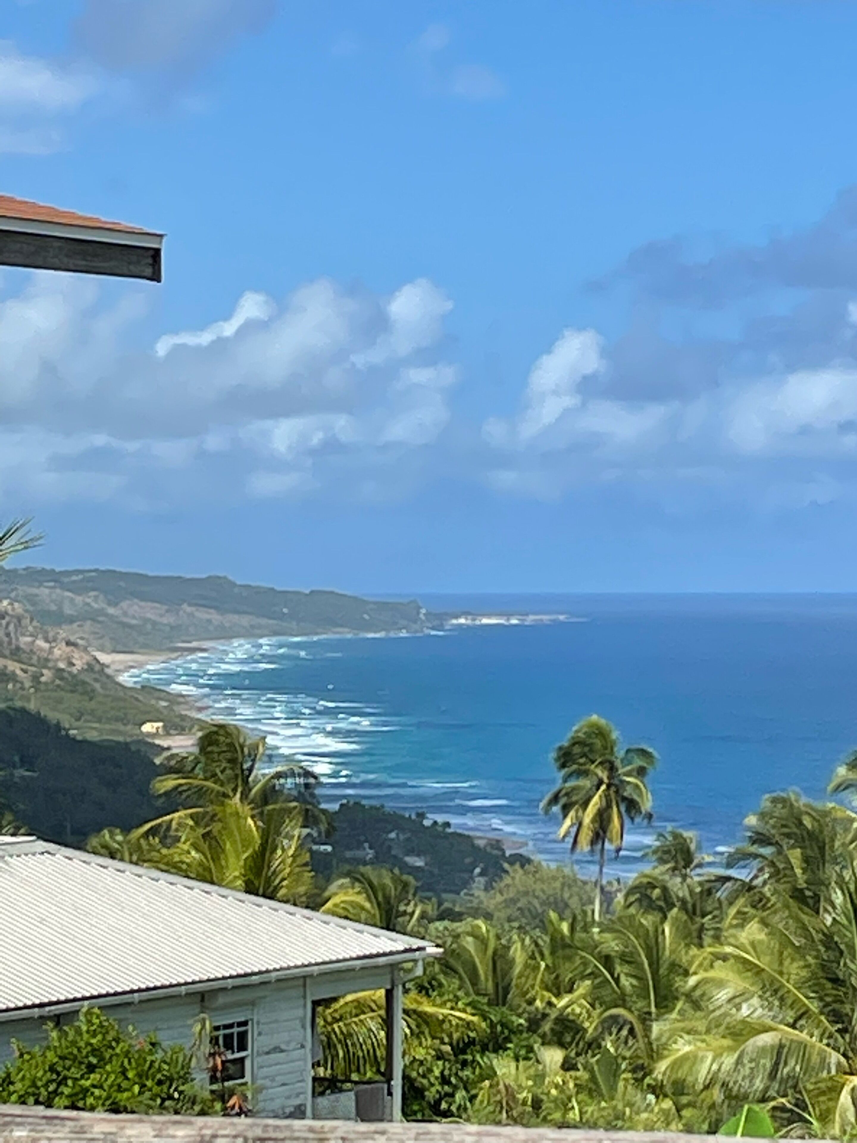 A view from a hill of the coast, palm trees, and the sea.
