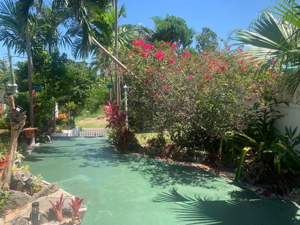 A garden path with palm trees and red flowers.