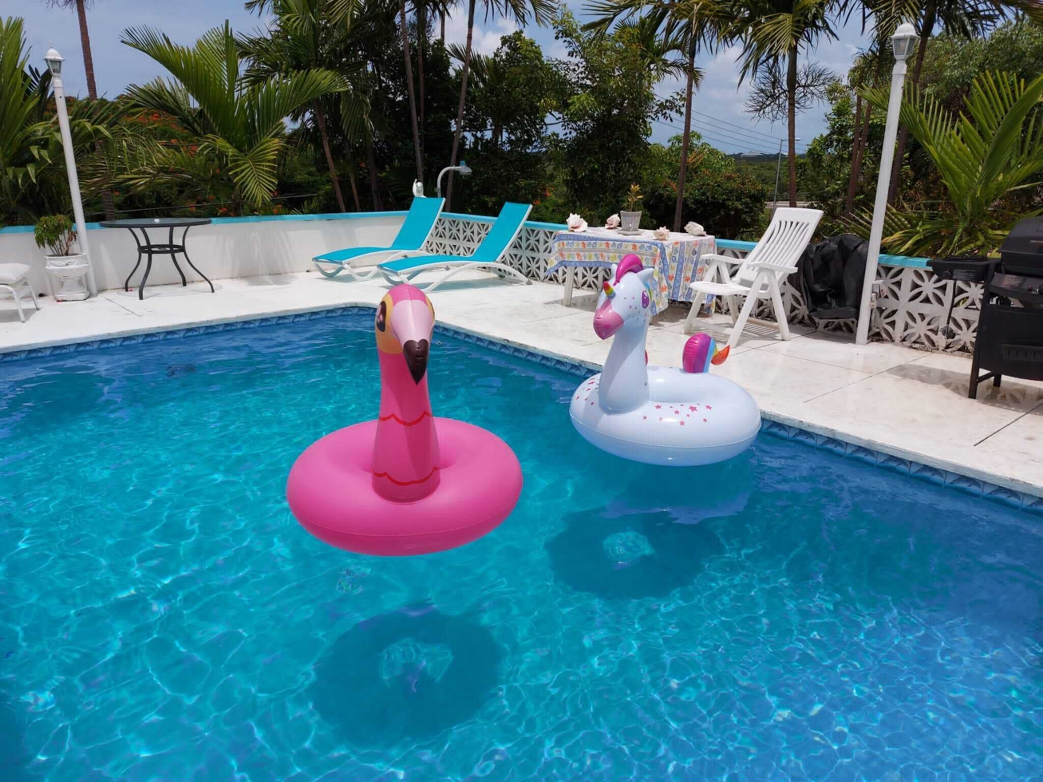 The pool with two inflatable rings and sun loungers.