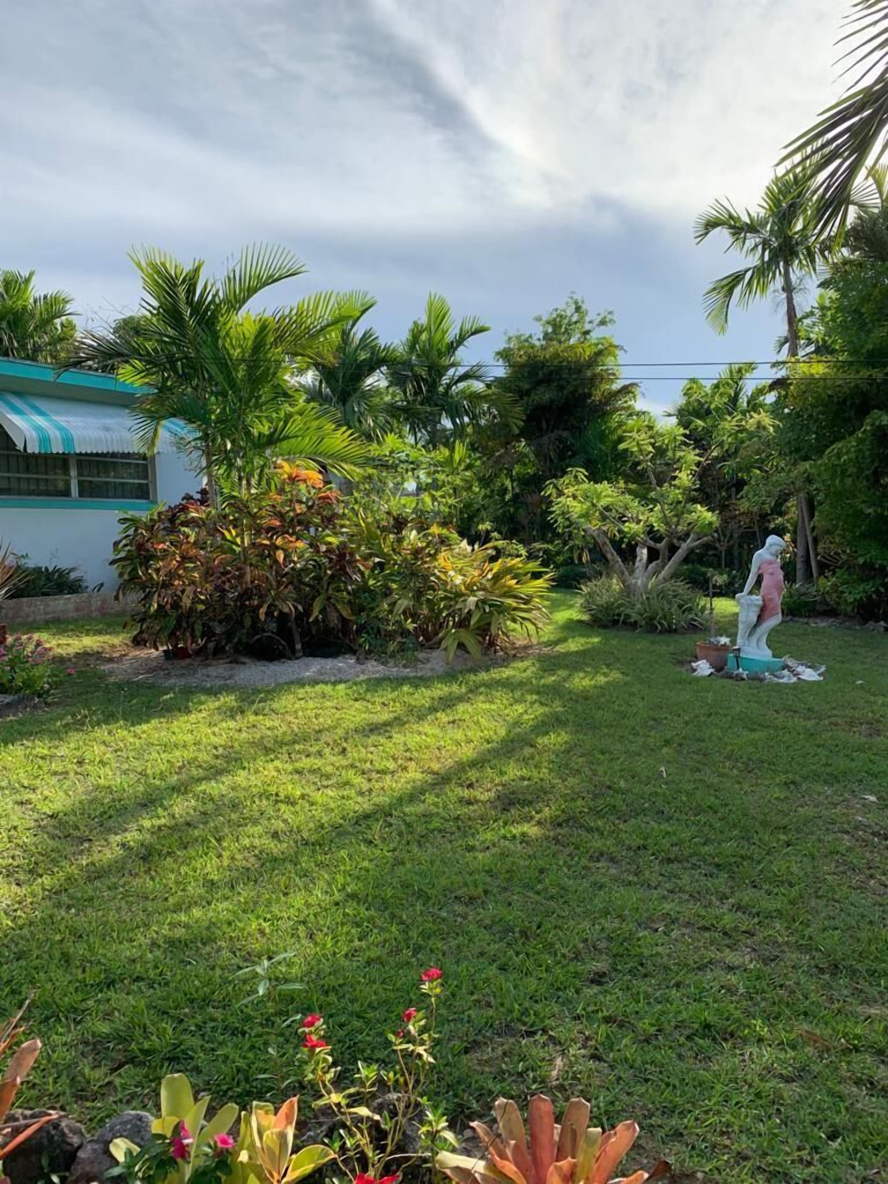 The lawn with tropical plants and a statue.