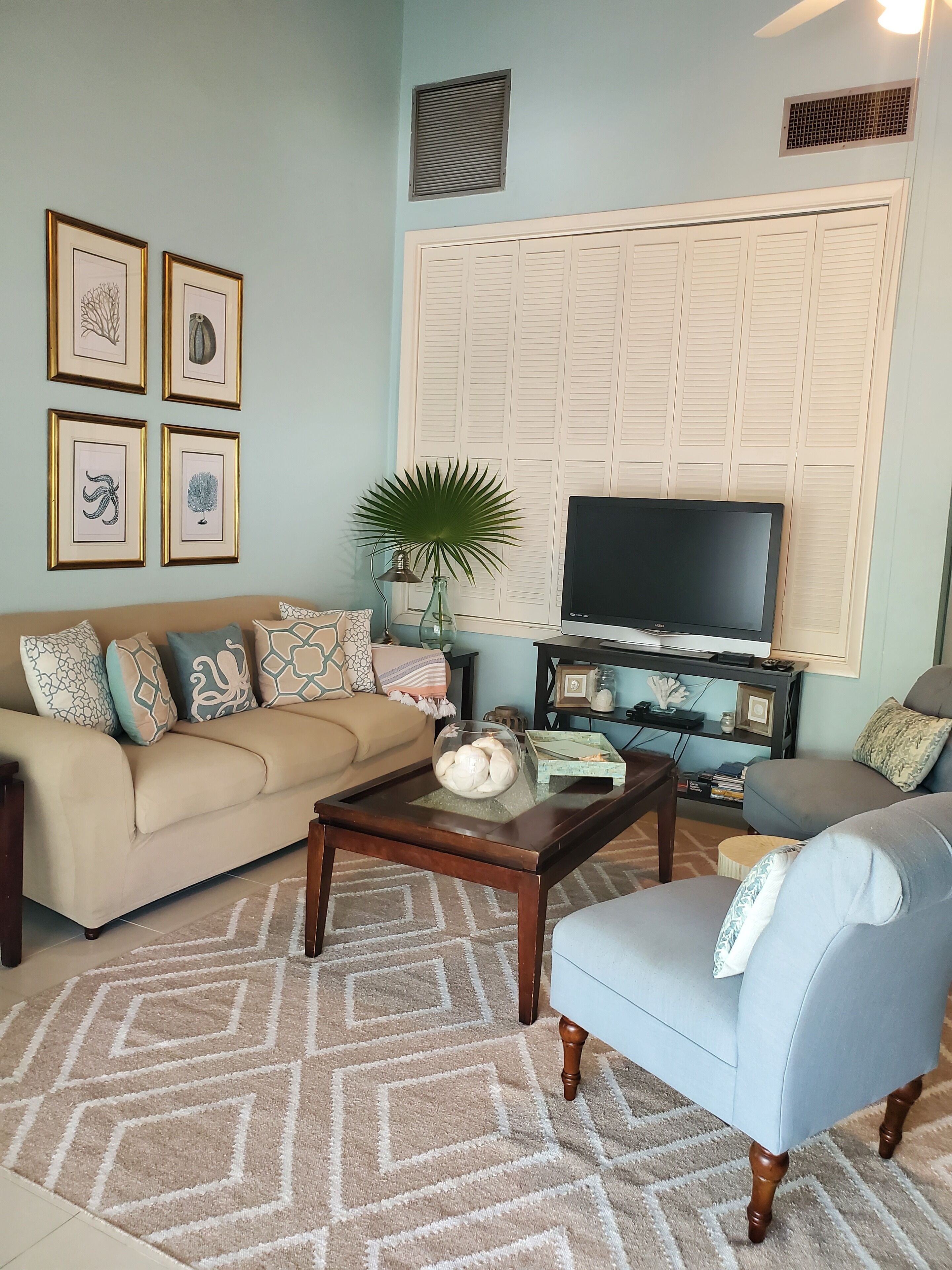 The living room with a television and a palm leaf in a vase.