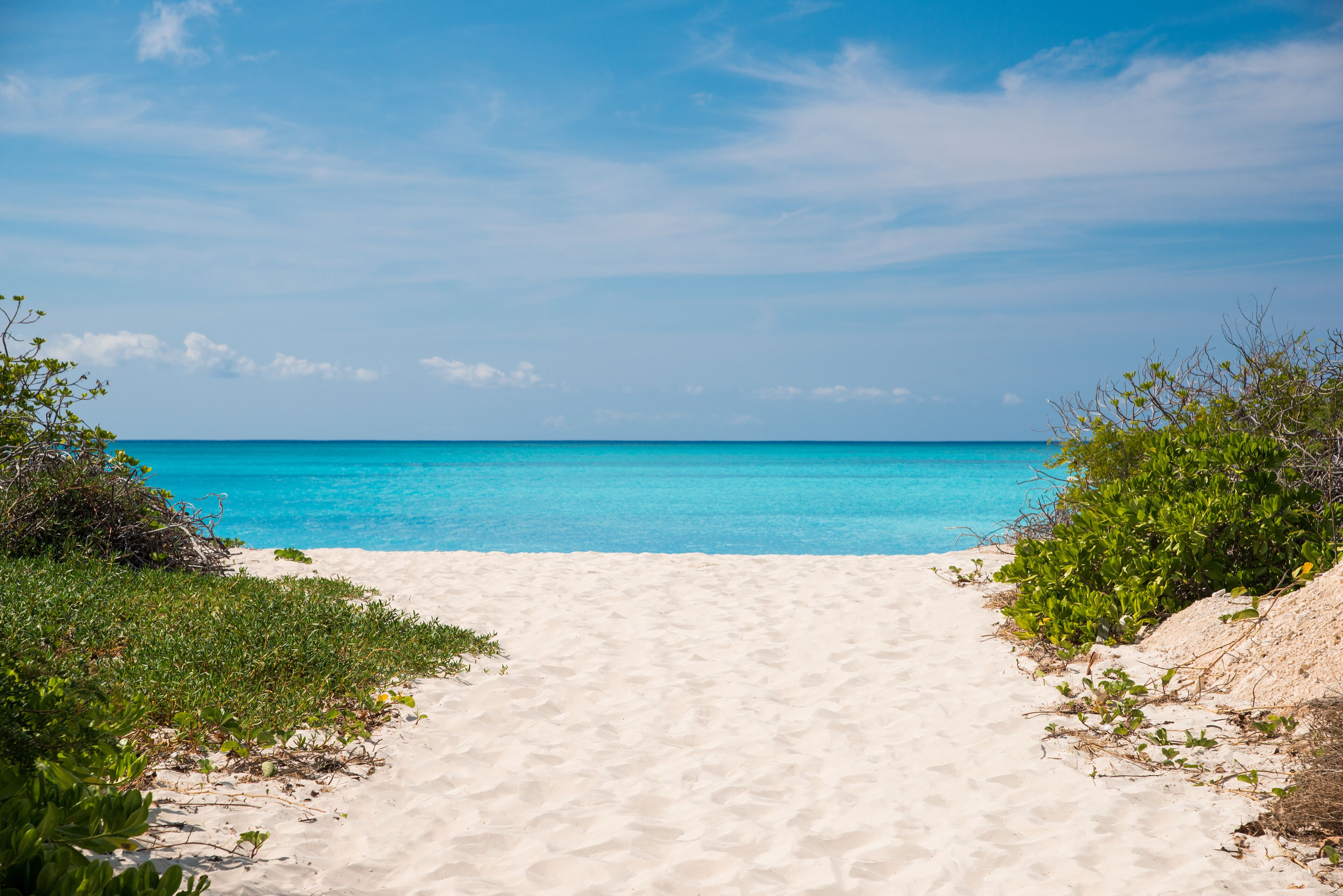 A sand path to the beach.