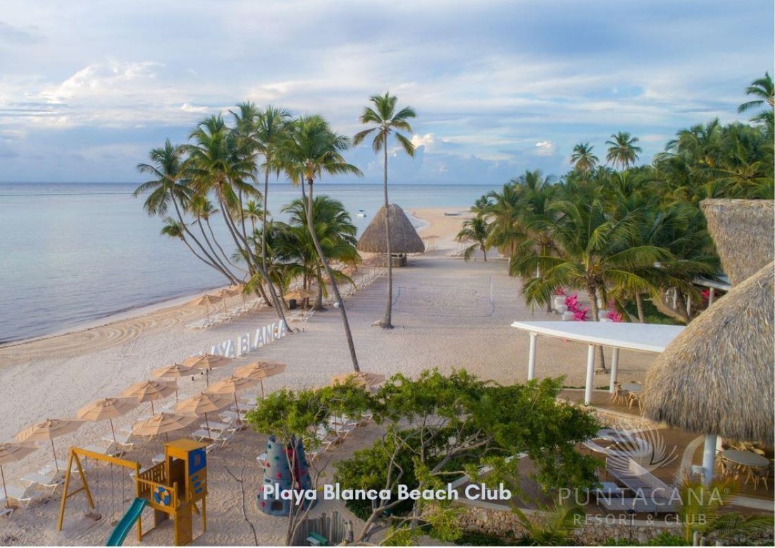 An aerial view of a beach club with palm trees, umbrellas, and the sea.