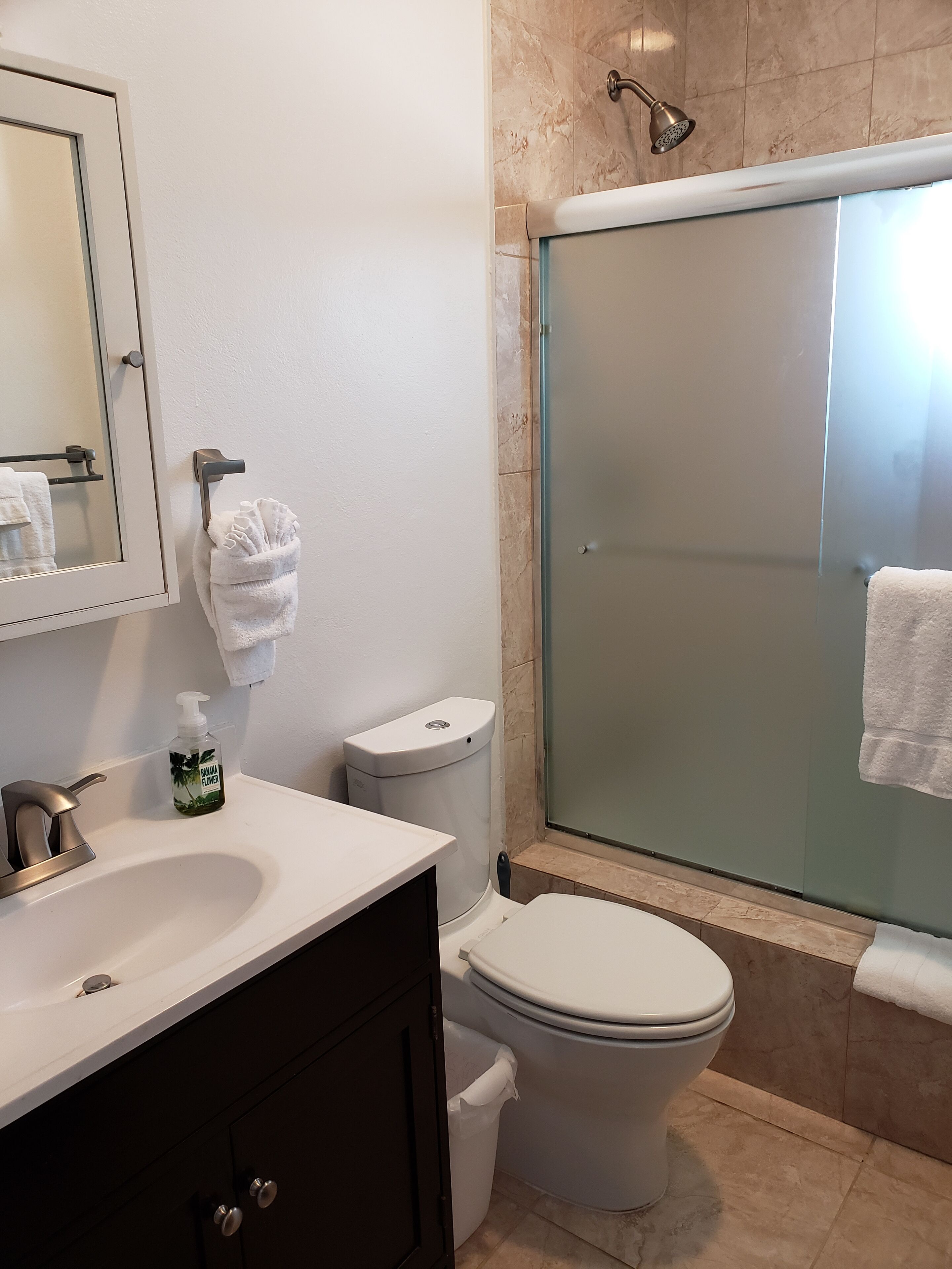 A bathroom with a washbasin, a toilet, and a shower.