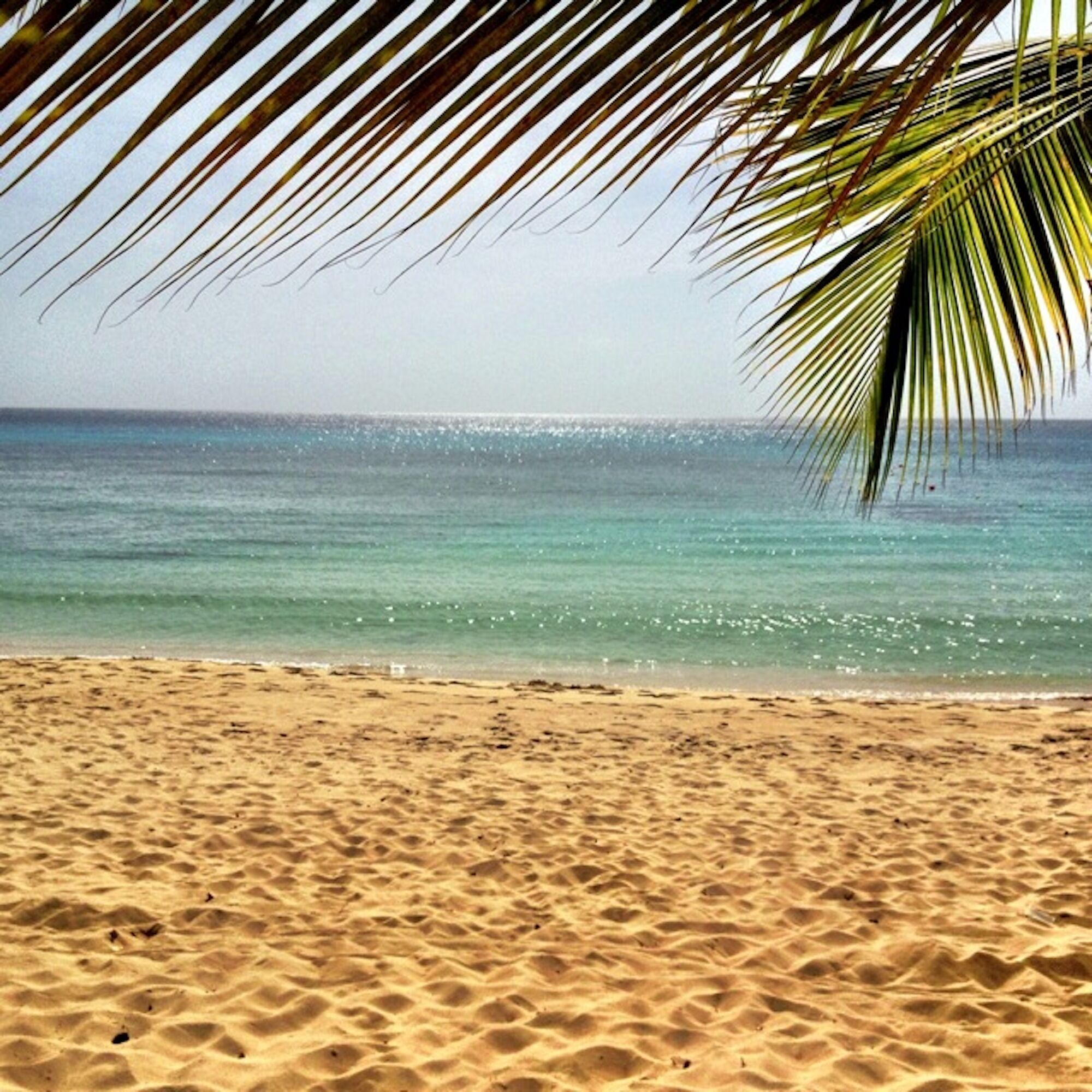 A sand beach and clear sea water under a palm frond.