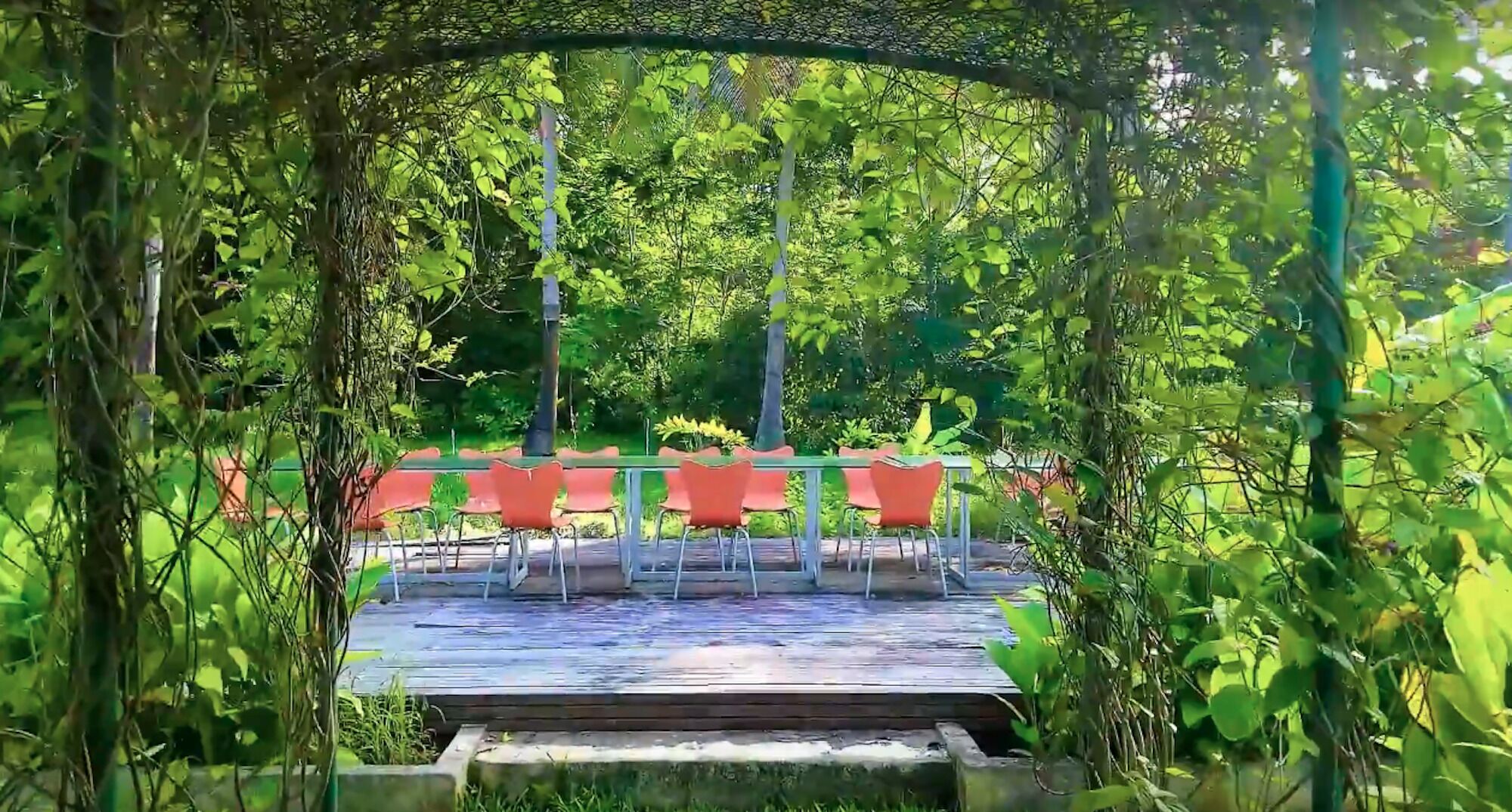 A long table with orange chairs on a wood deck in the garden.