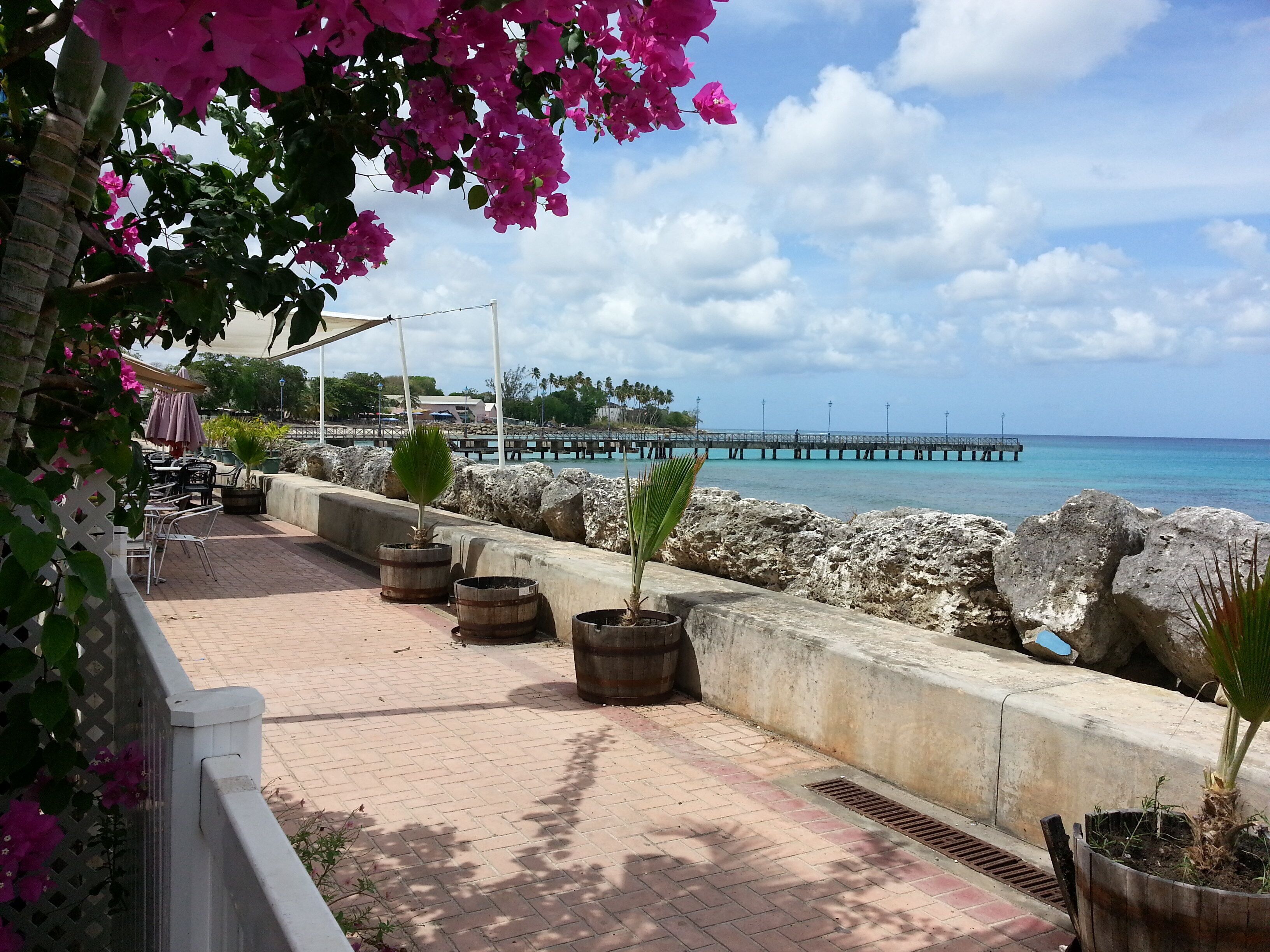 A walkway beside the sea wall, with flowers and a view of the pier.