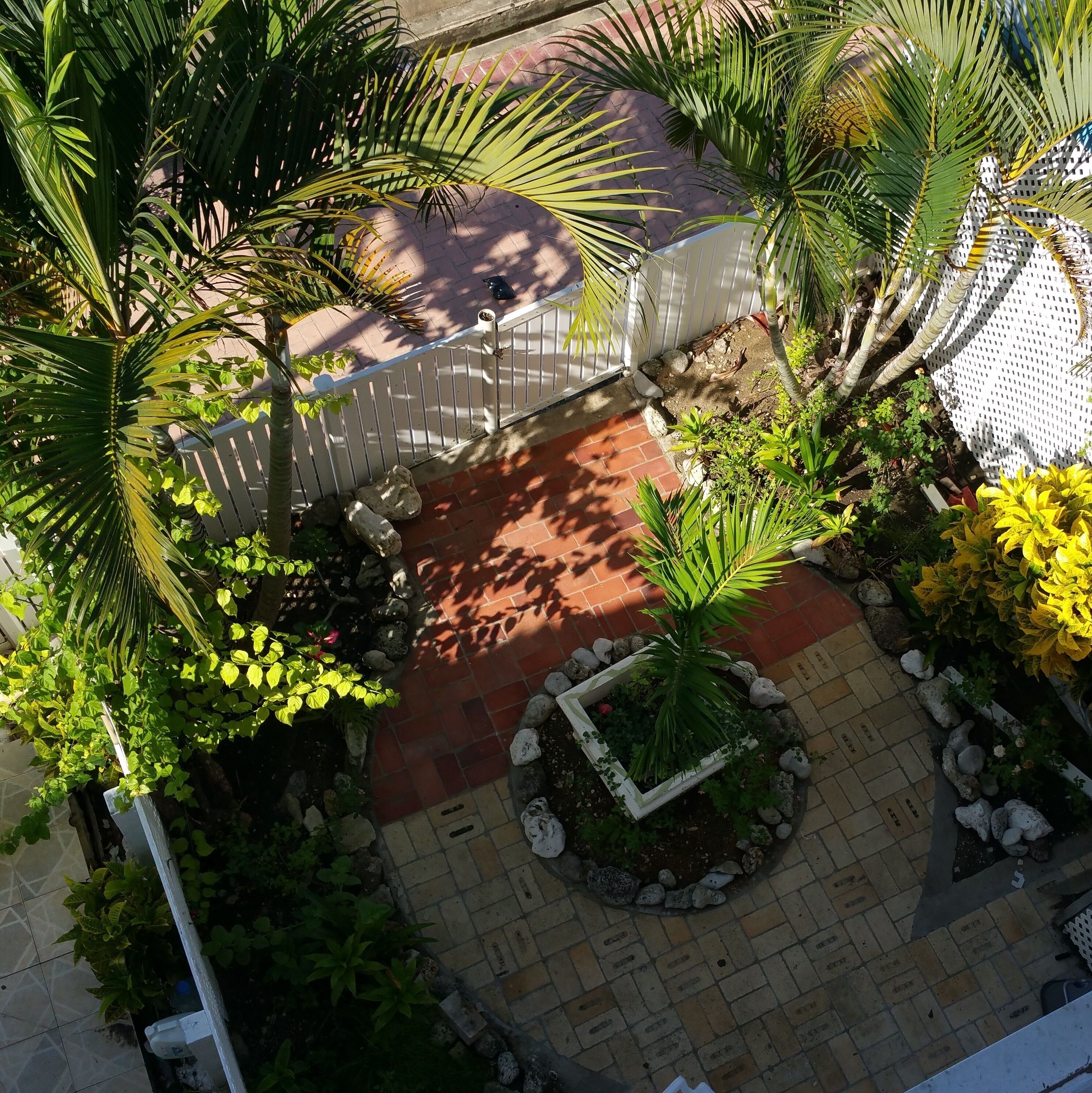 The courtyard garden with palms and a brick path, seen from above.