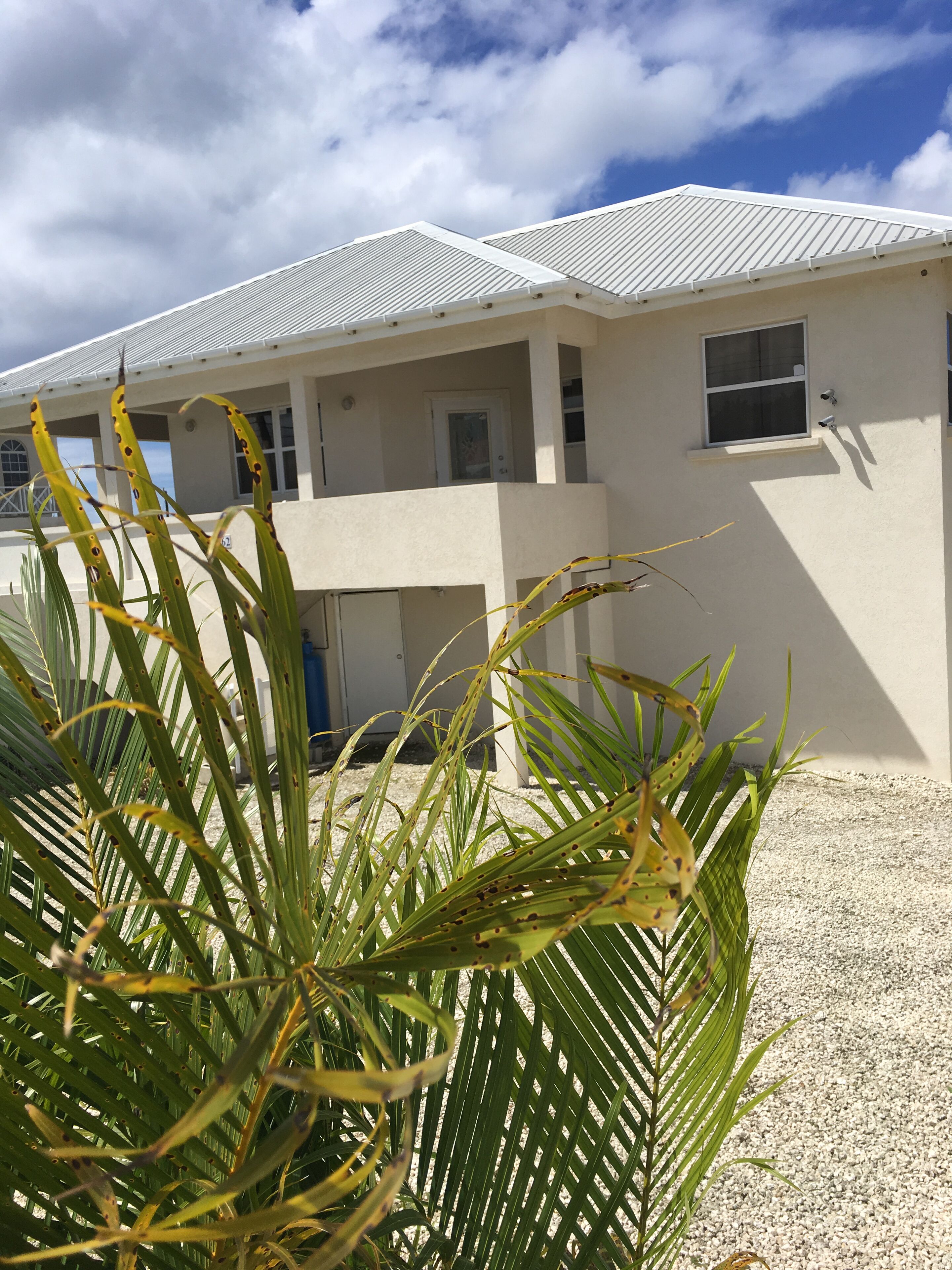 The front of the villa with palm plants and a gravel yard.